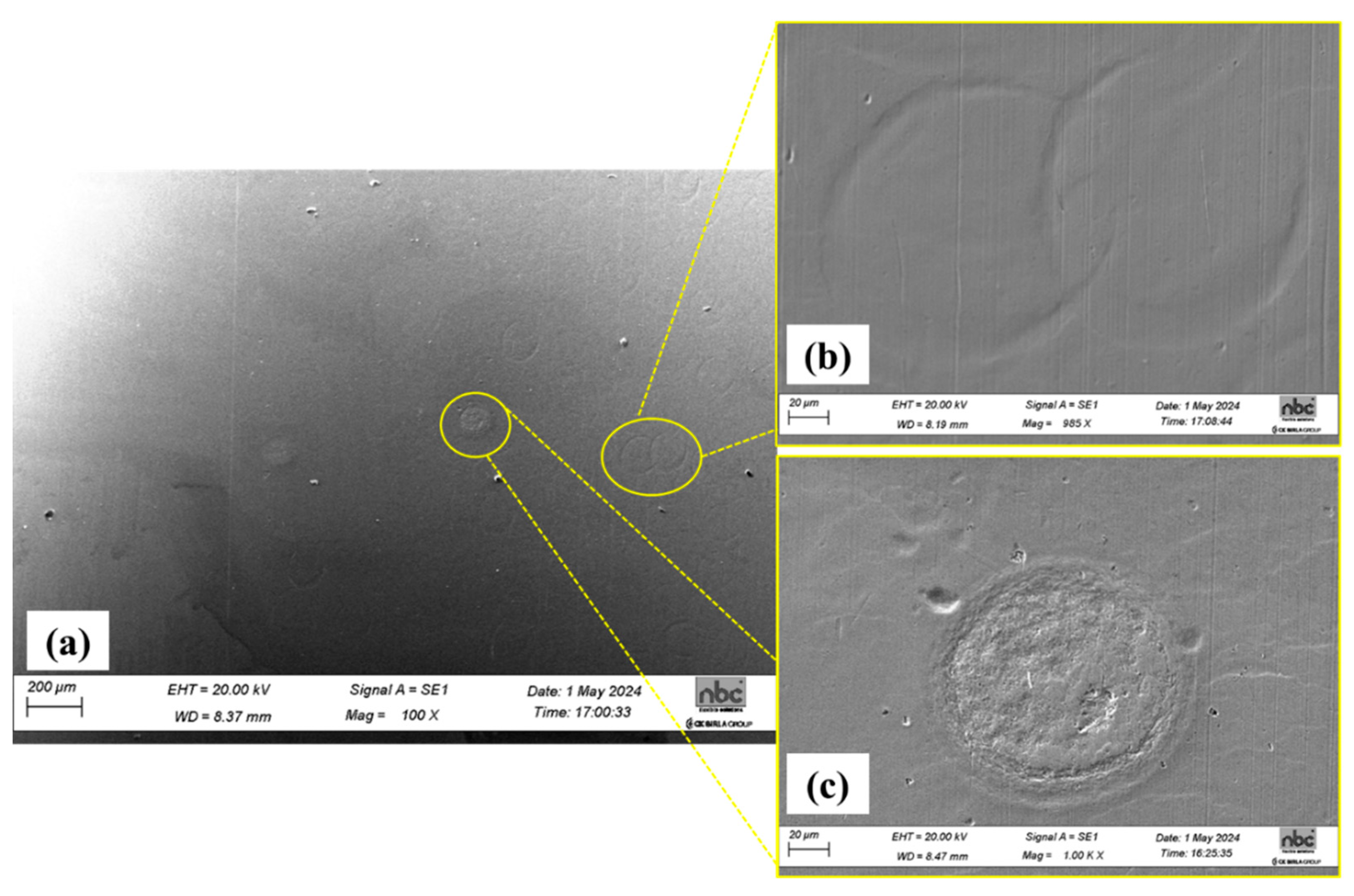 Lubricants 13 00108 g012