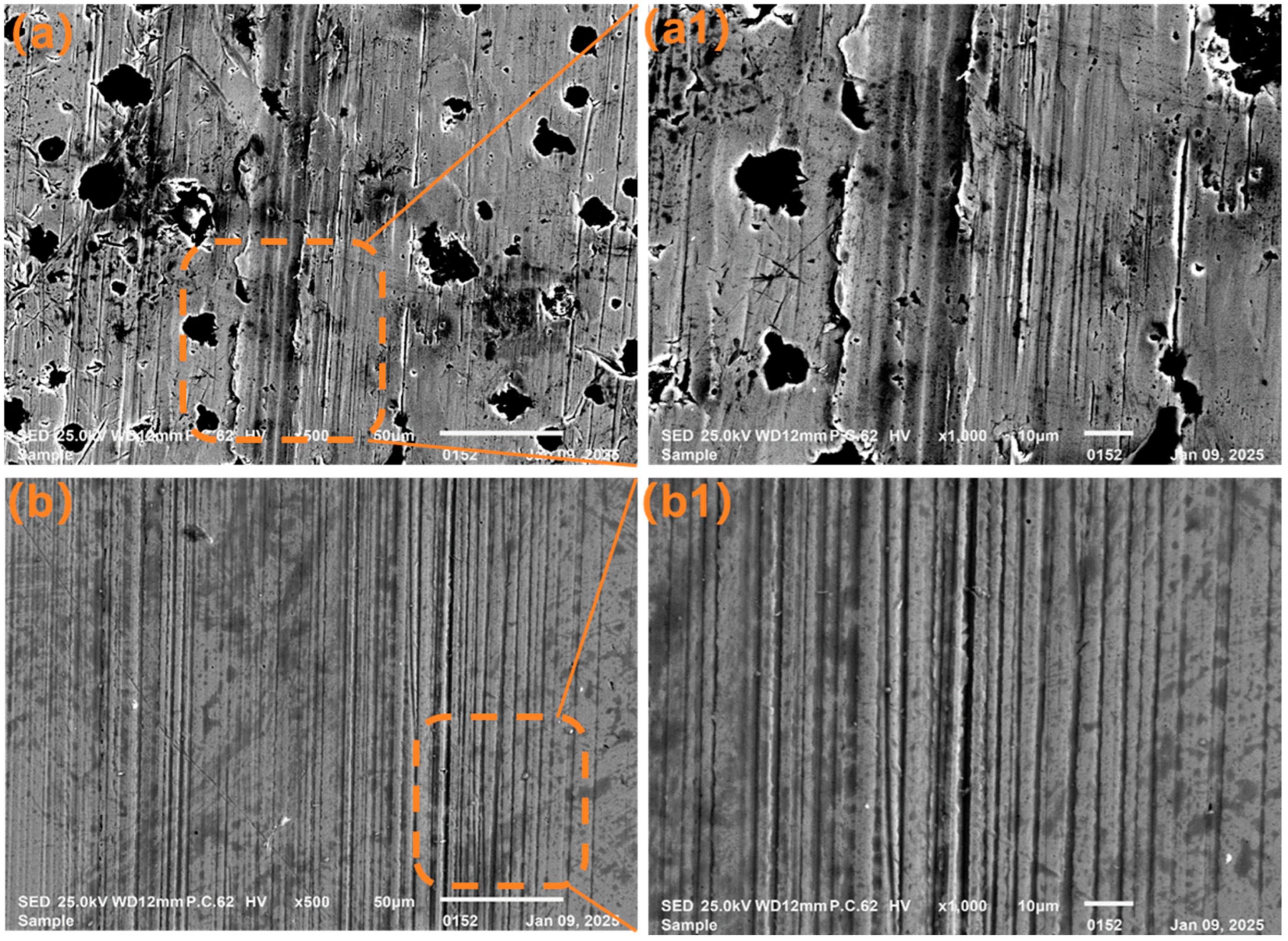 Lubricants 13 00111 g013