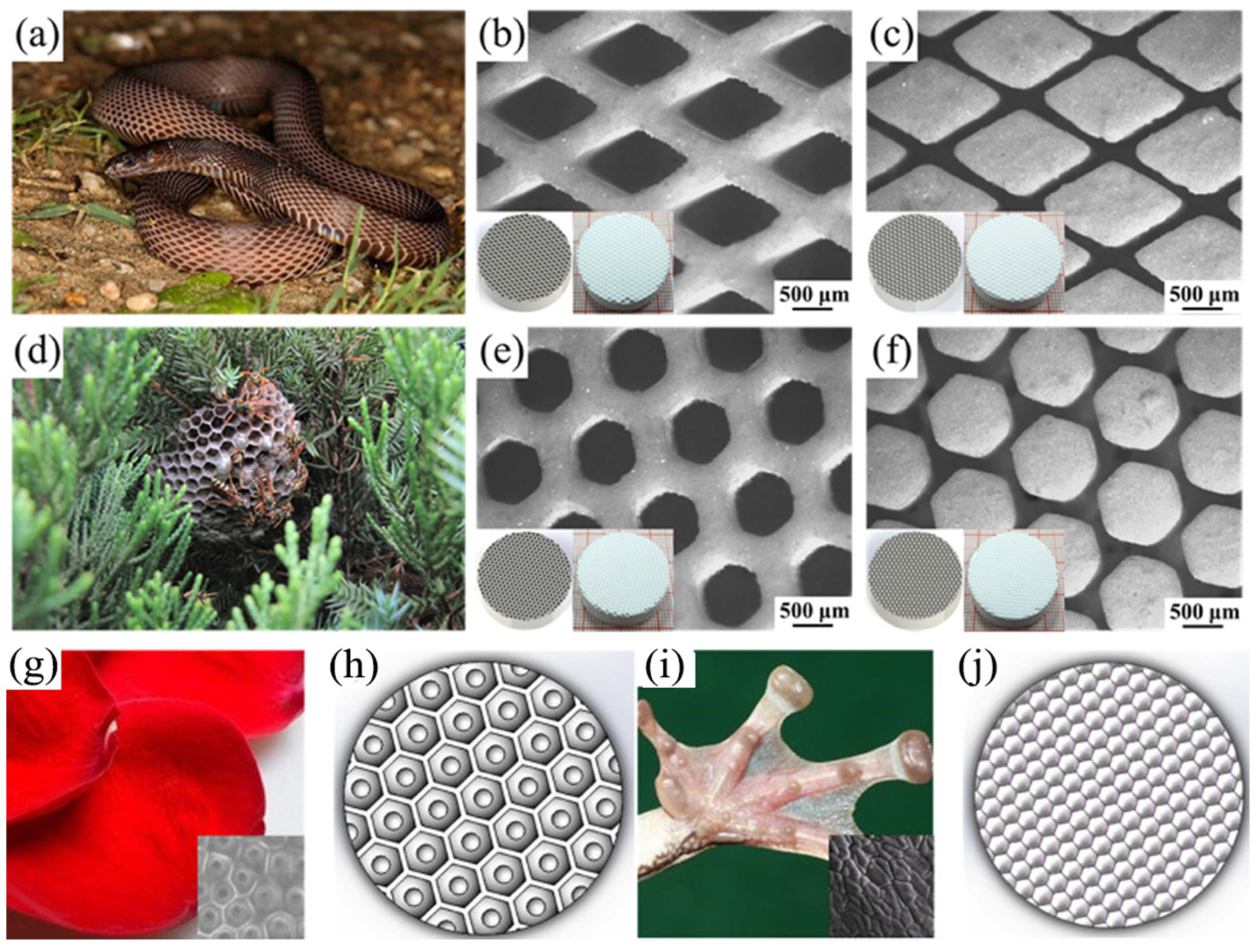 Lubricants 13 00112 g007