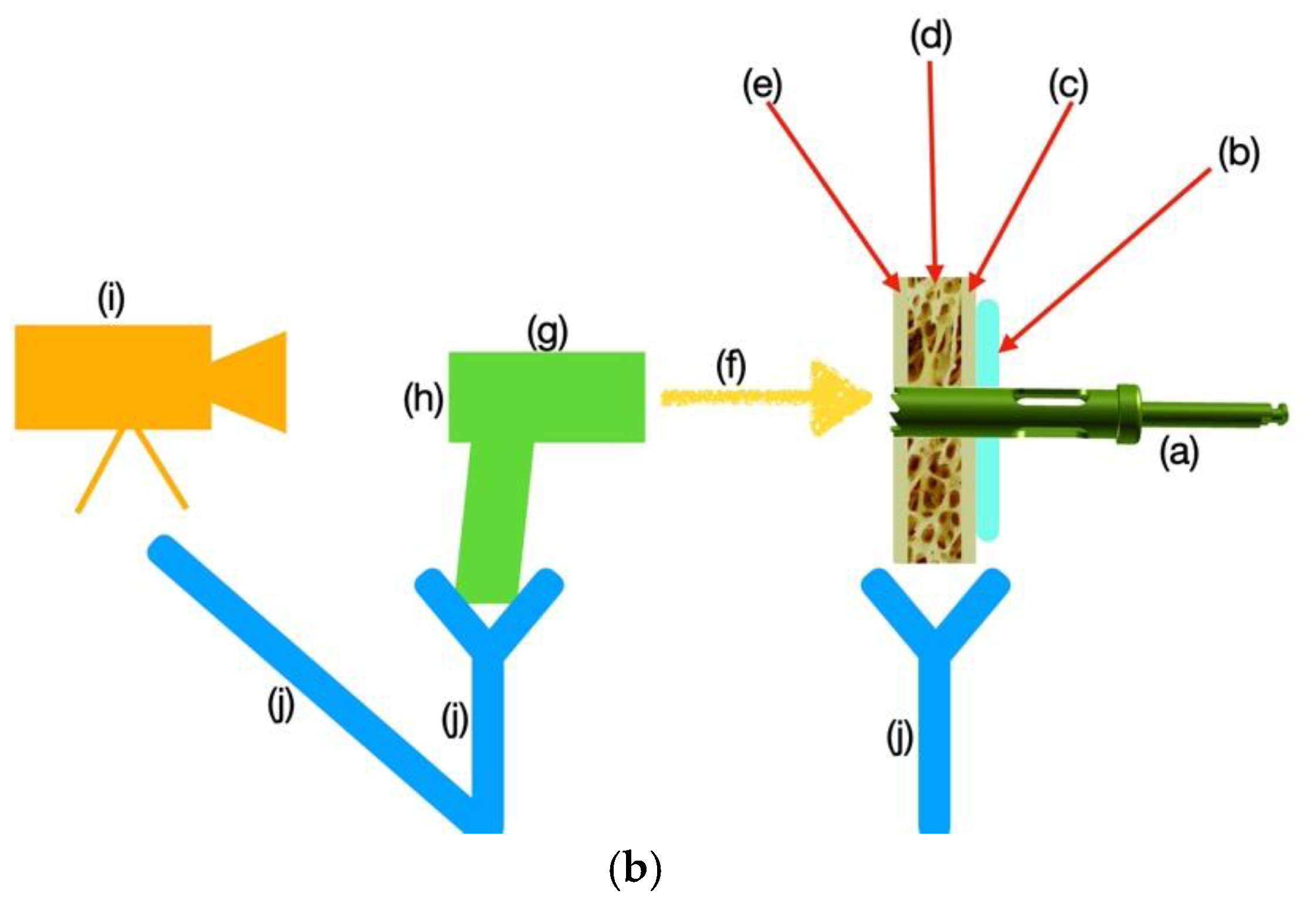 Lubricants 13 00115 g004b Lubricants 13 00115 g004b