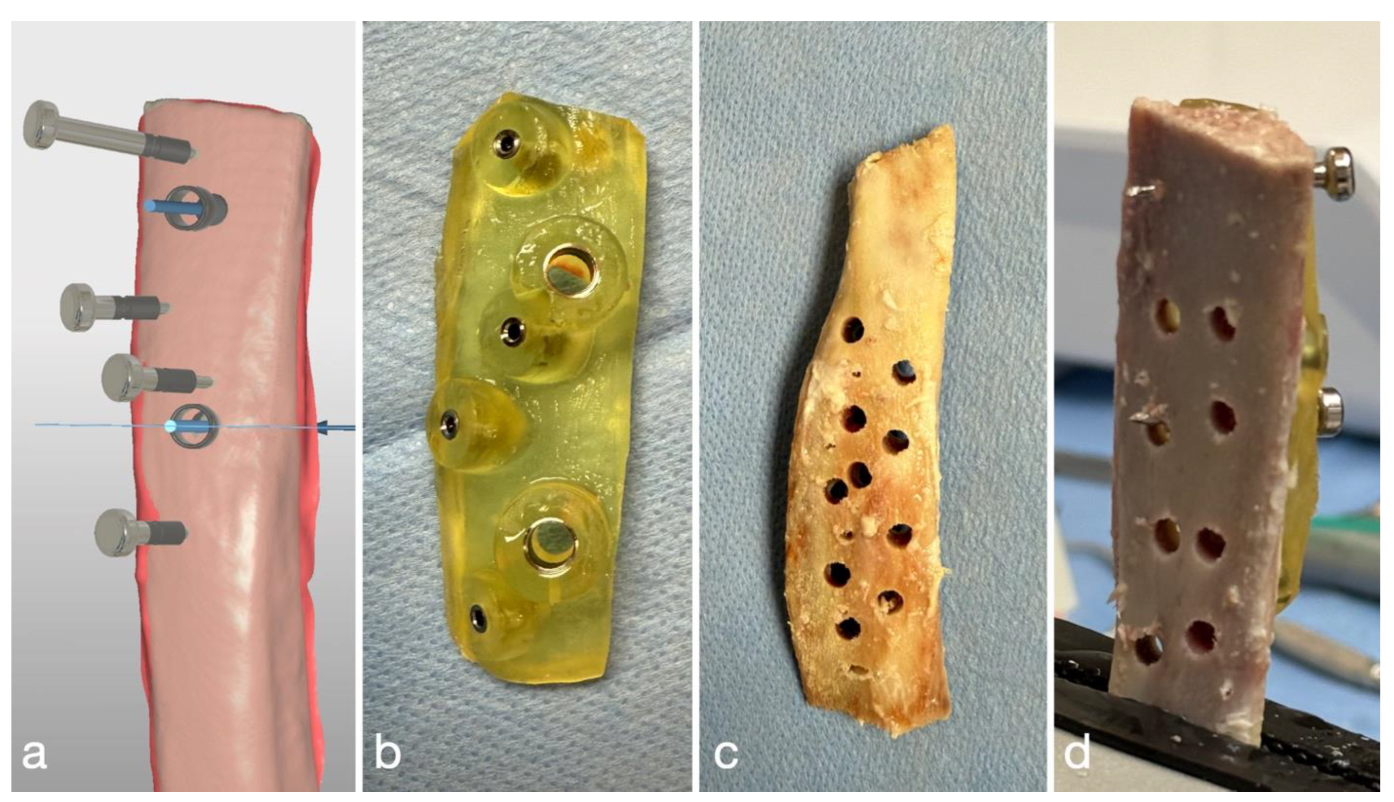 Lubricants 13 00115 g005 Lubricants 13 00115 g005