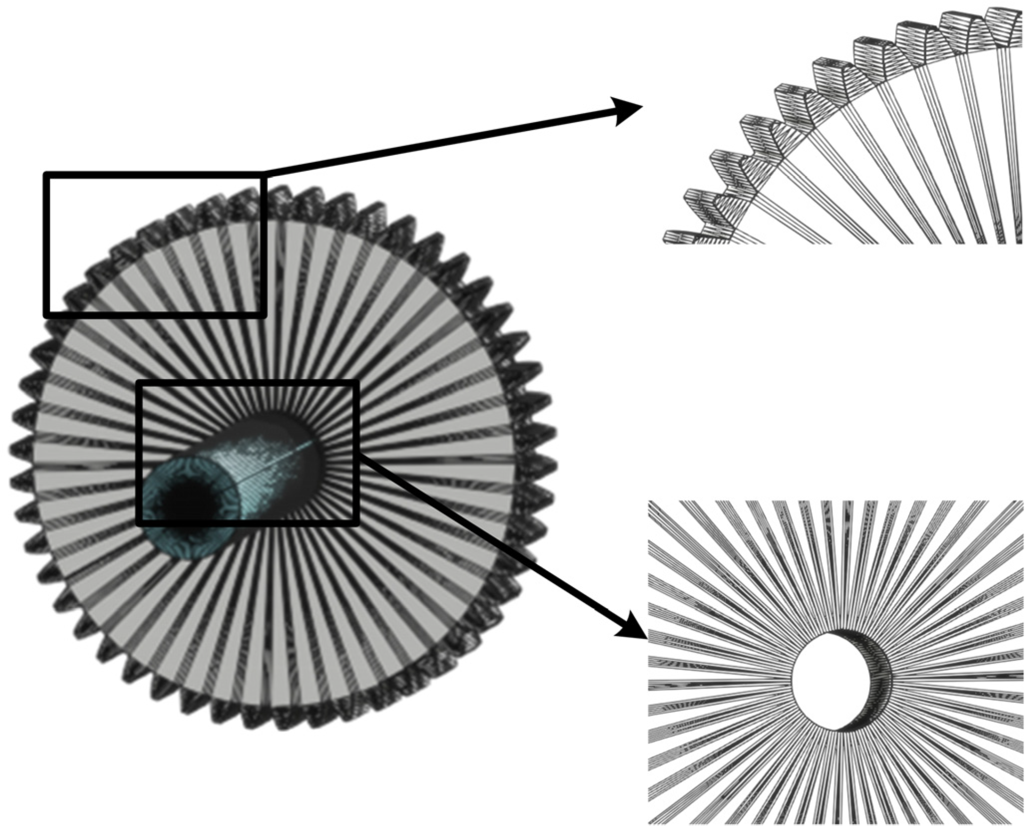 Lubricants 13 00117 g004