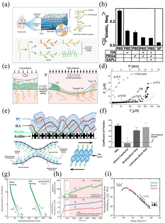 Lubricants 13 00119 g005