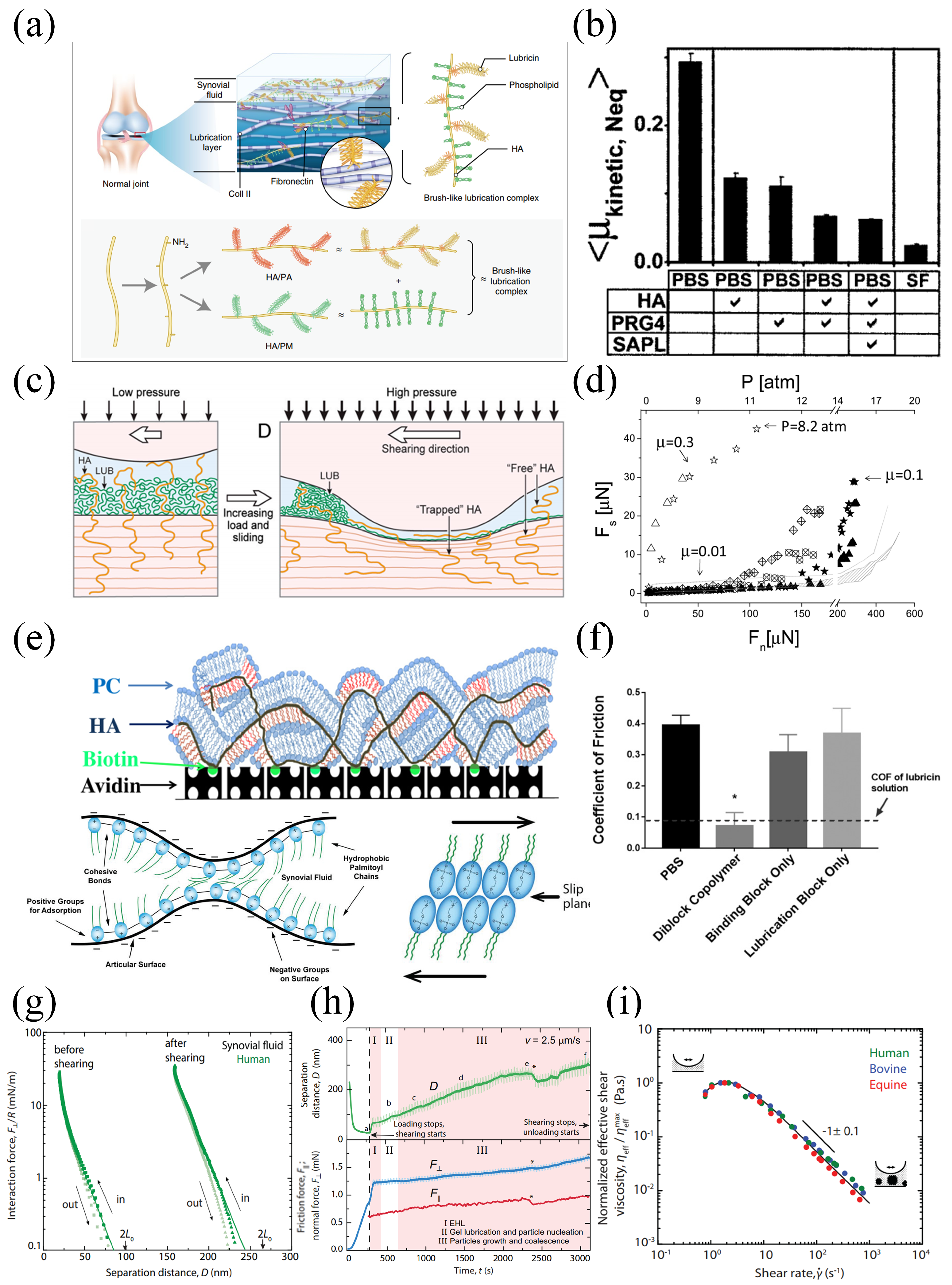 Lubricants 13 00119 g005