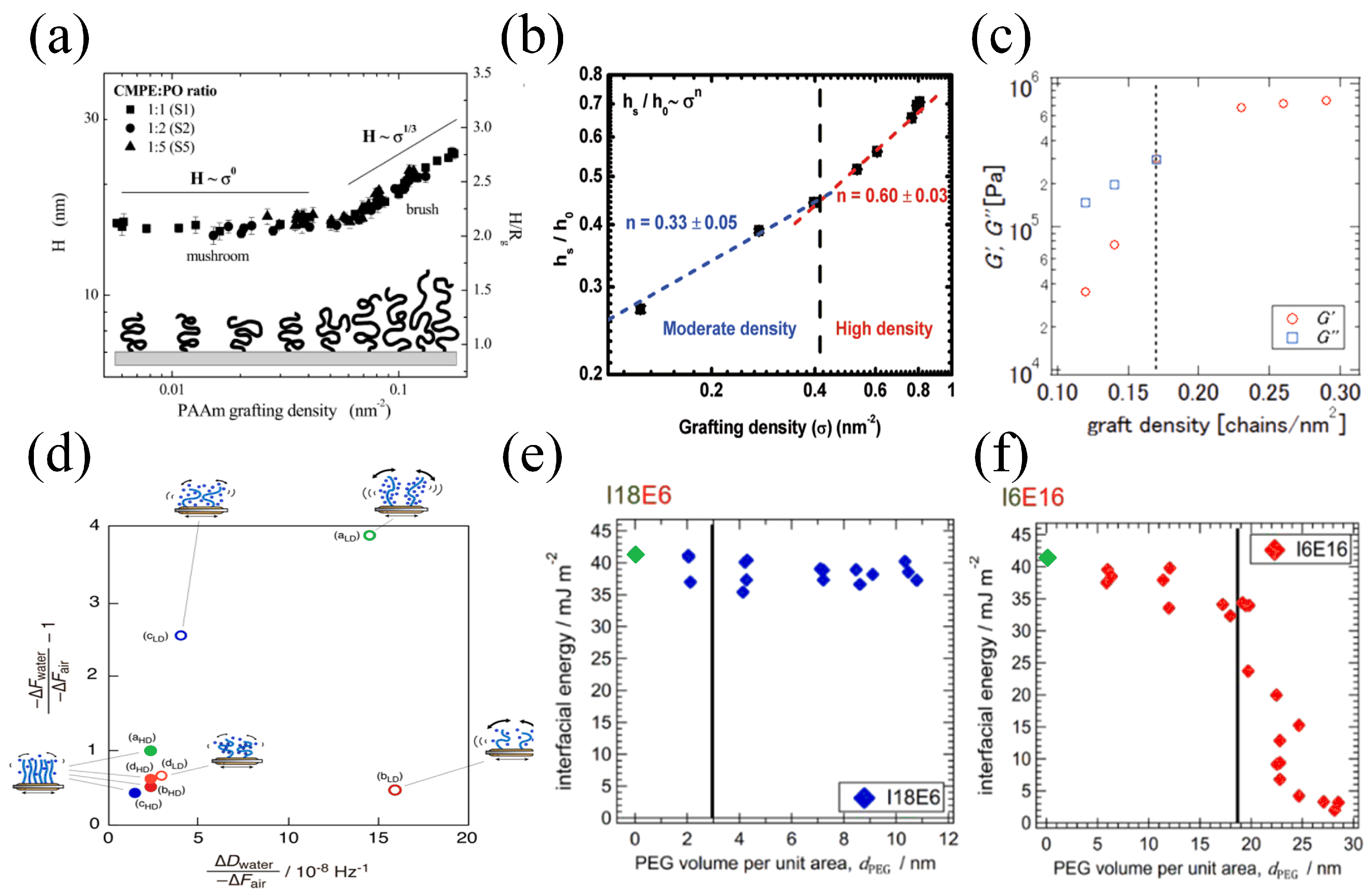 Lubricants 13 00119 g006