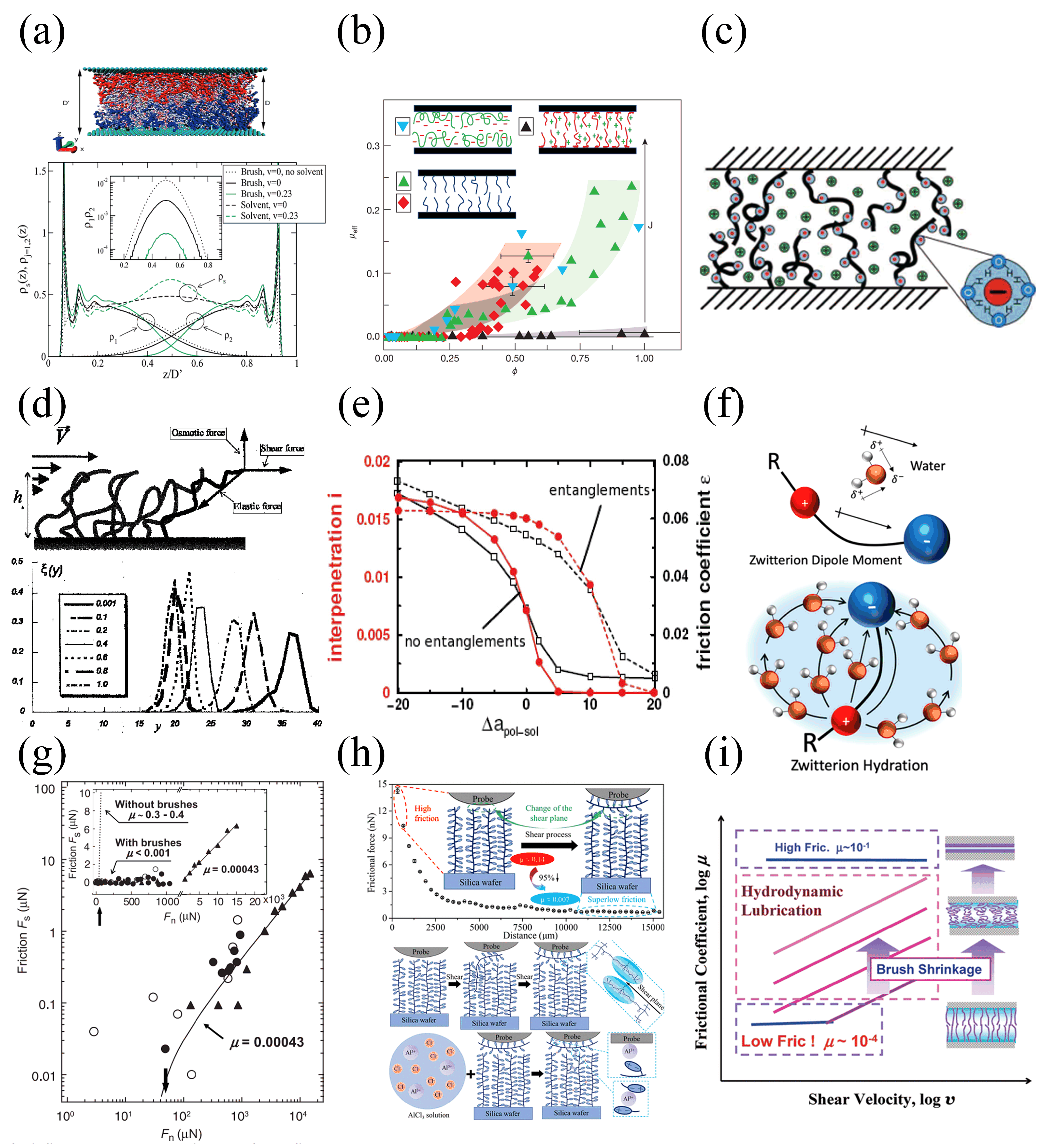 Lubricants 13 00119 g007