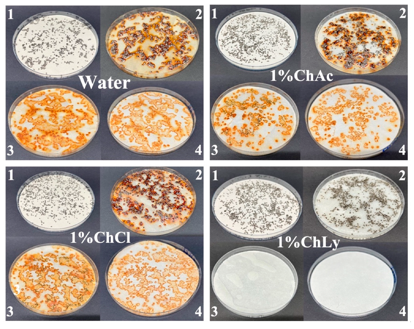 Lubricants 13 00122 g005 Lubricants 13 00122 g005