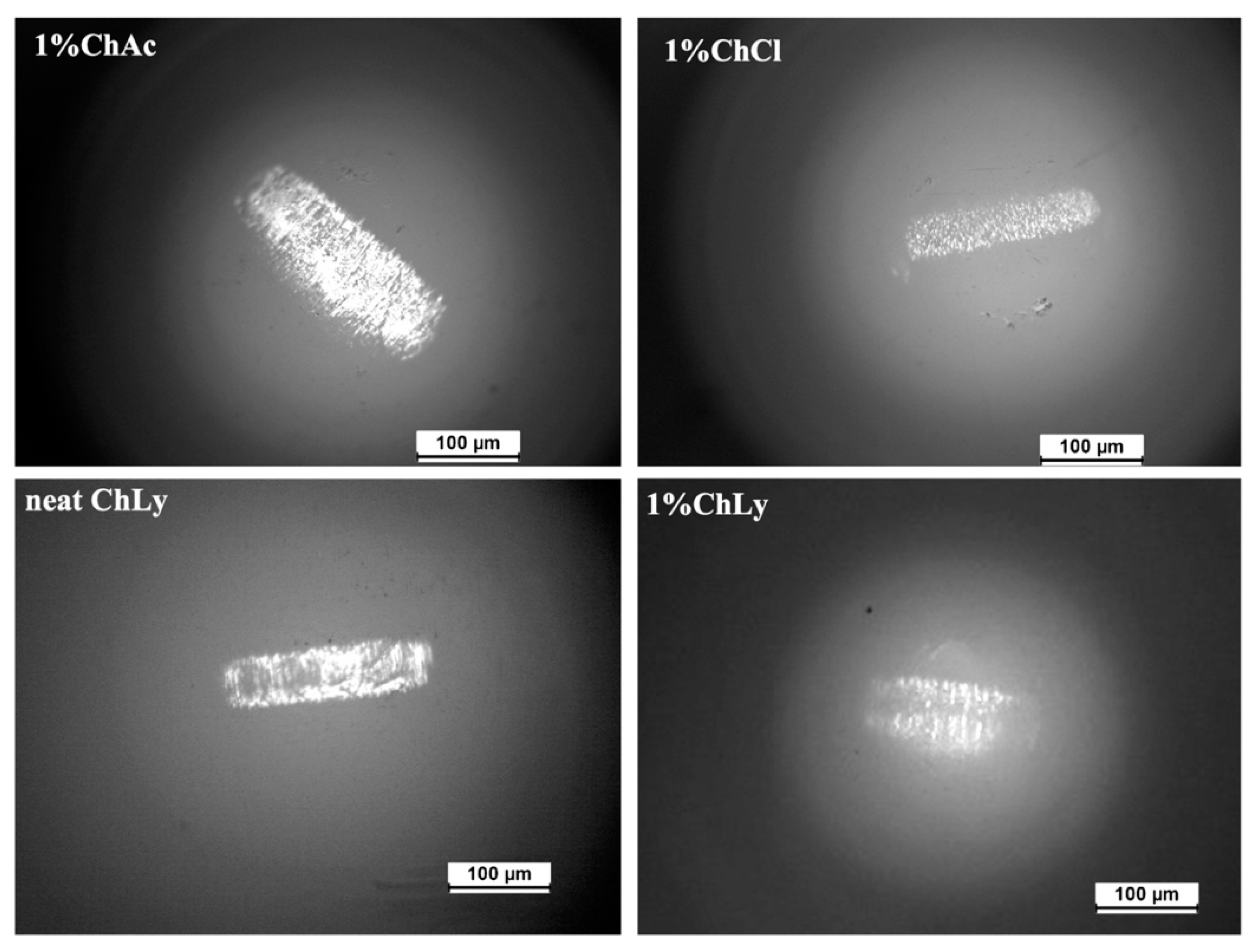 Lubricants 13 00122 g009 Lubricants 13 00122 g009