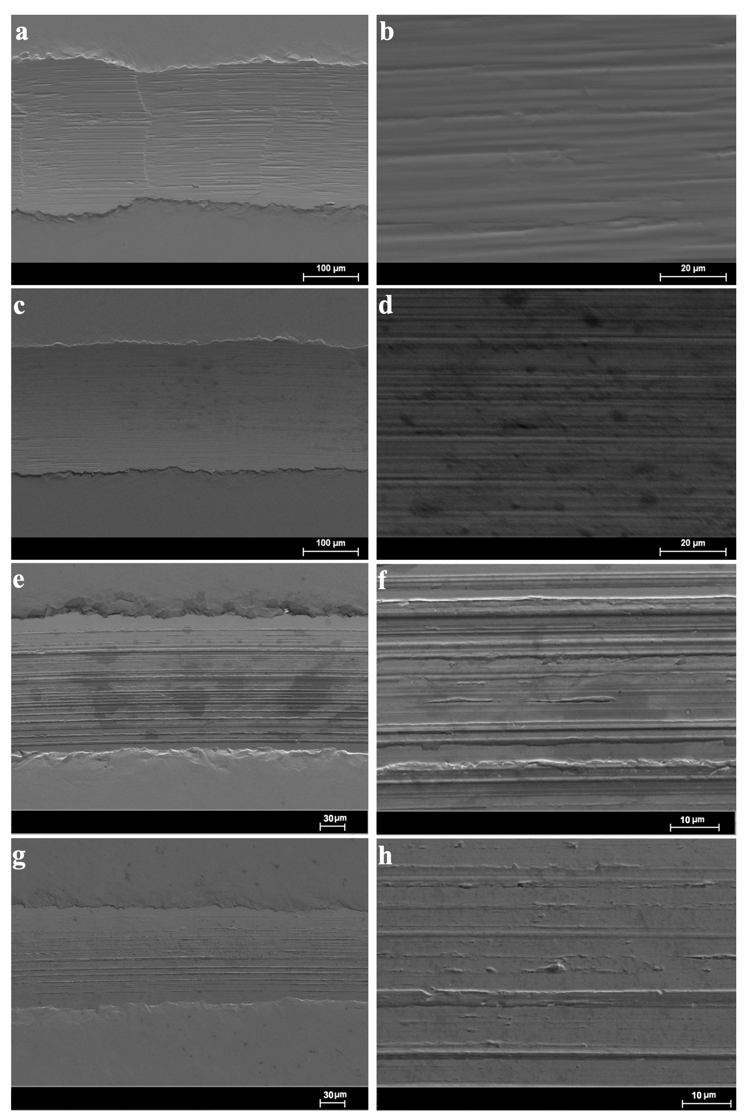 Lubricants 13 00122 g010 Lubricants 13 00122 g010