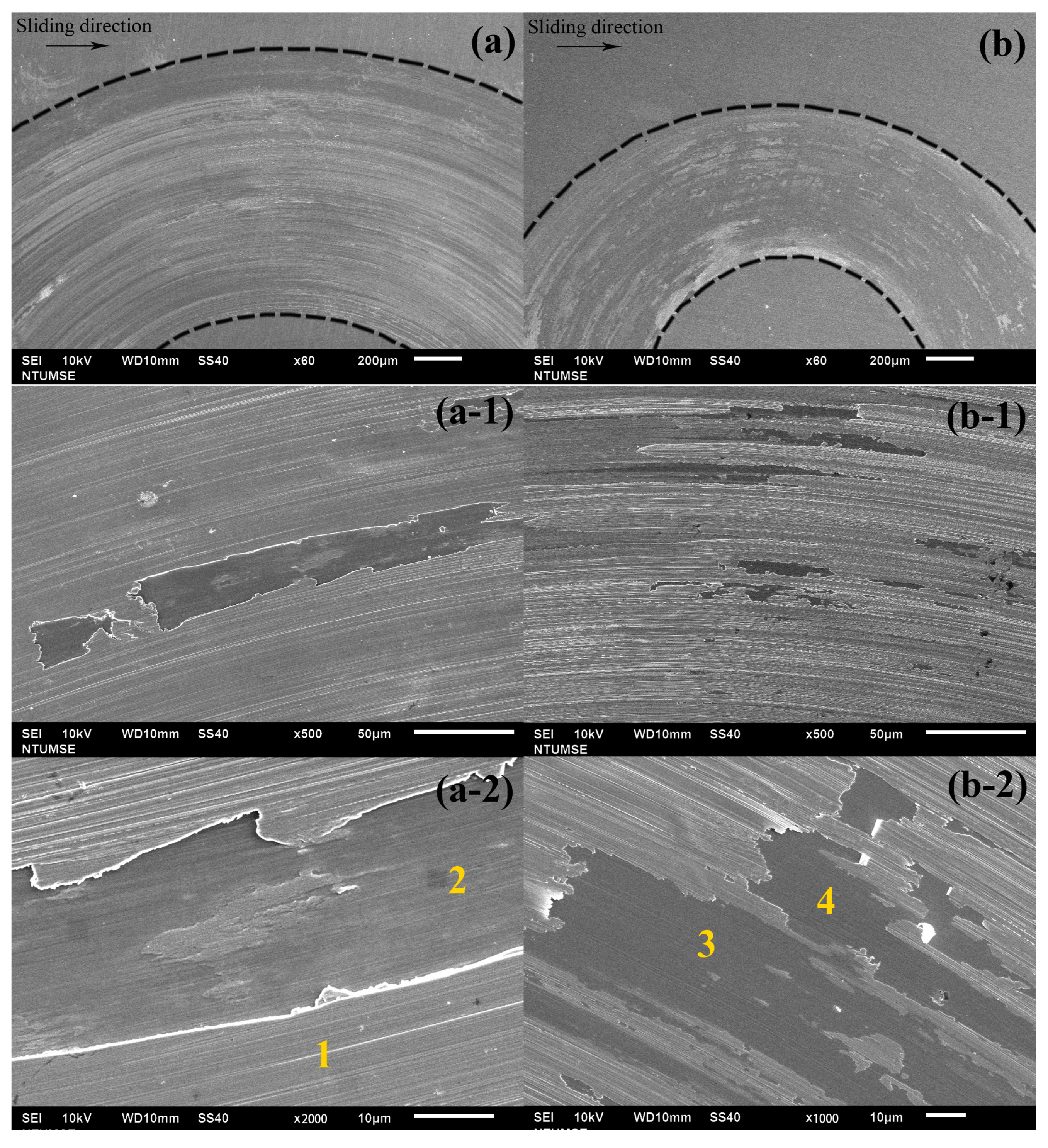 Lubricants 13 00125 g005