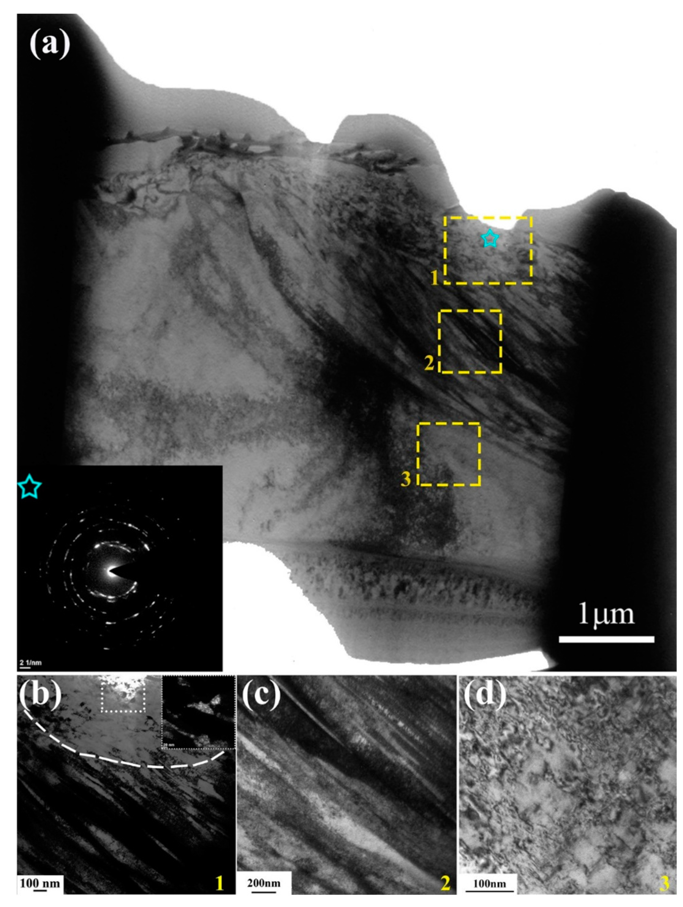 Lubricants 13 00125 g010