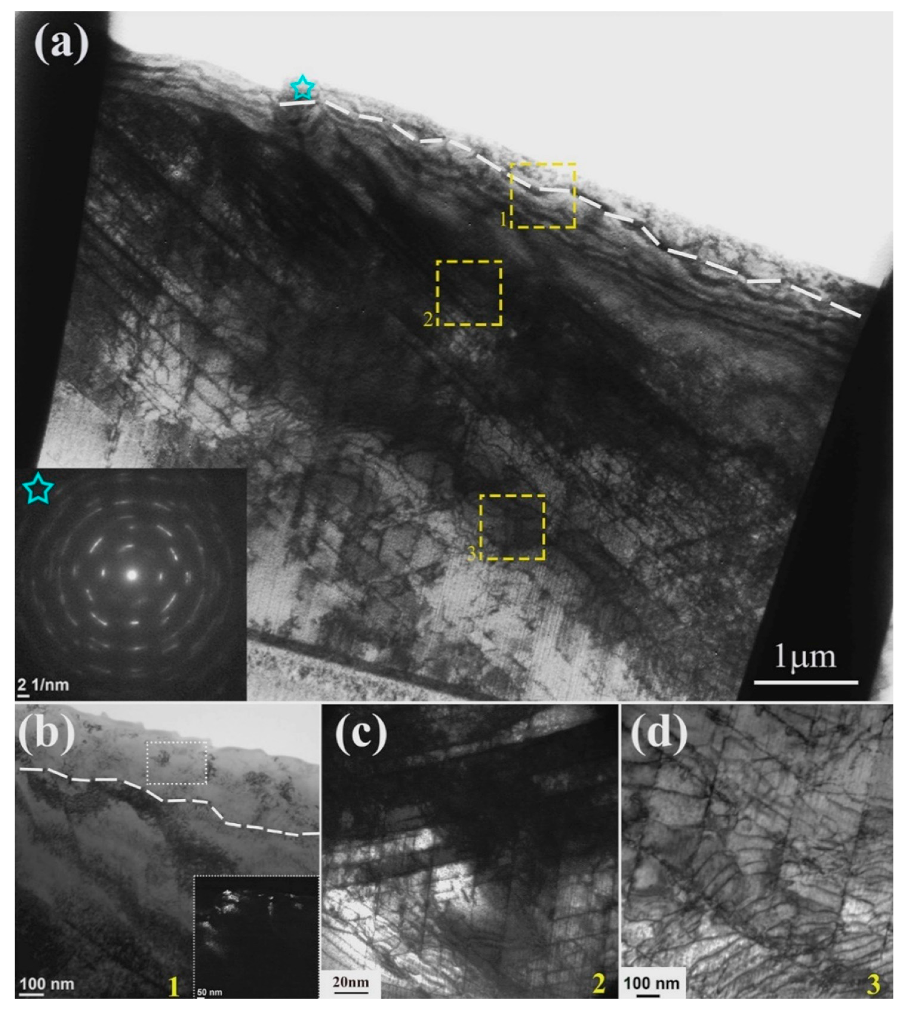 Lubricants 13 00125 g011