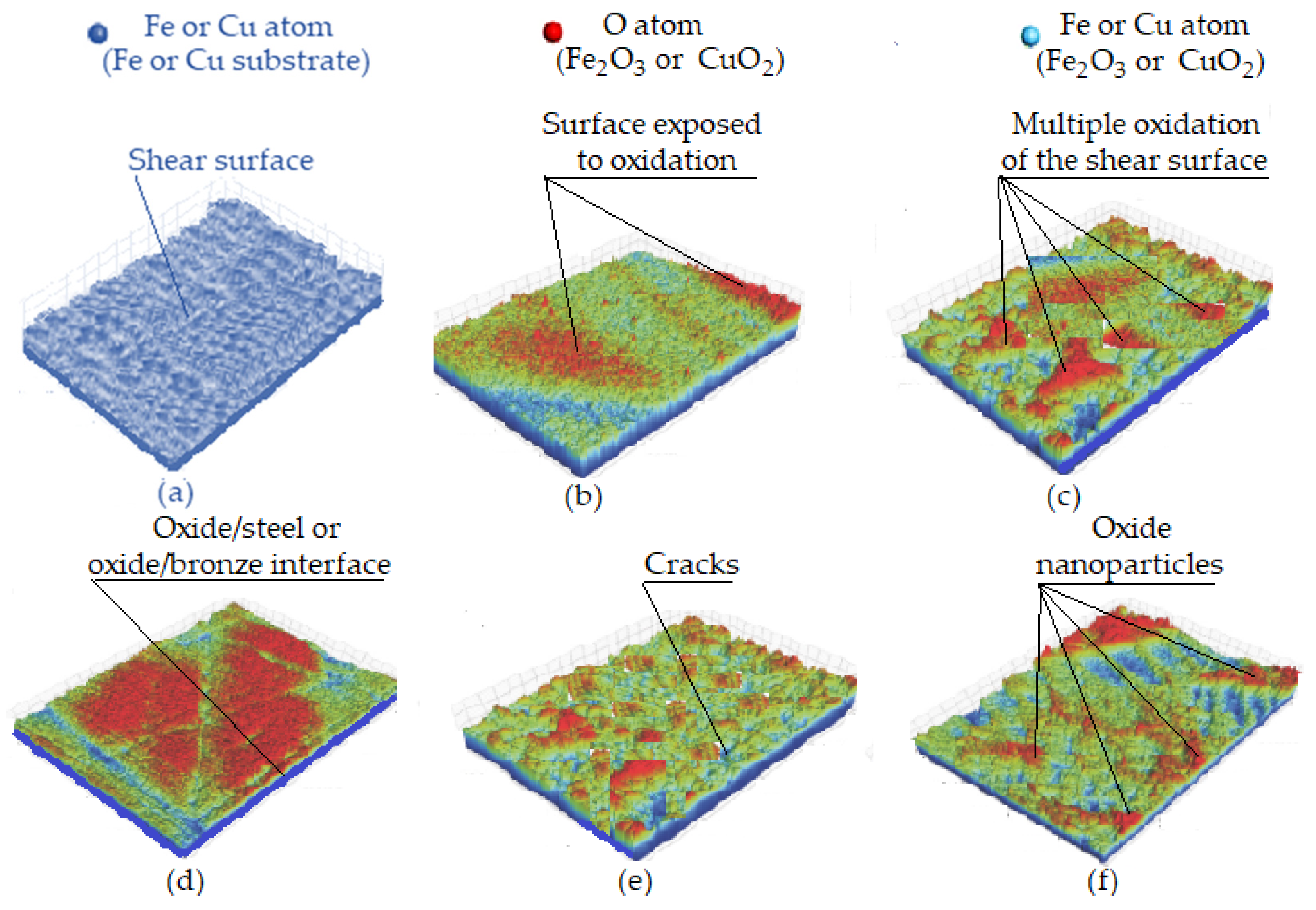 Lubricants 13 00135 g010