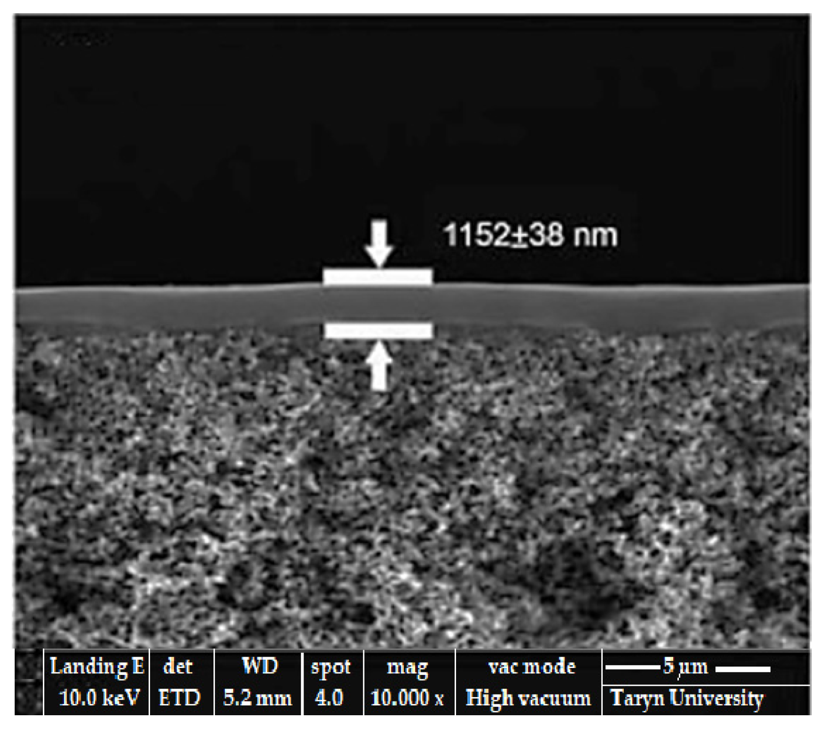 Lubricants 13 00135 g013