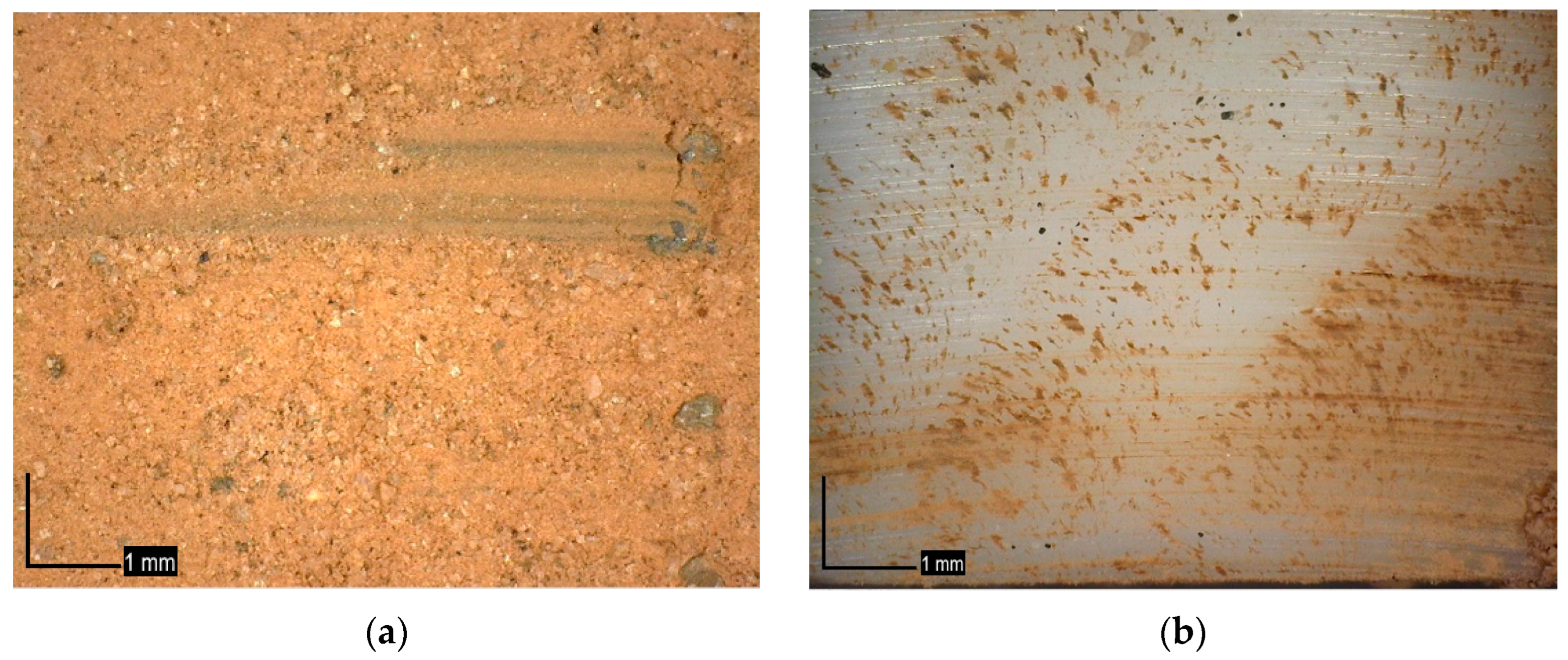 Lubricants 13 00136 g007a