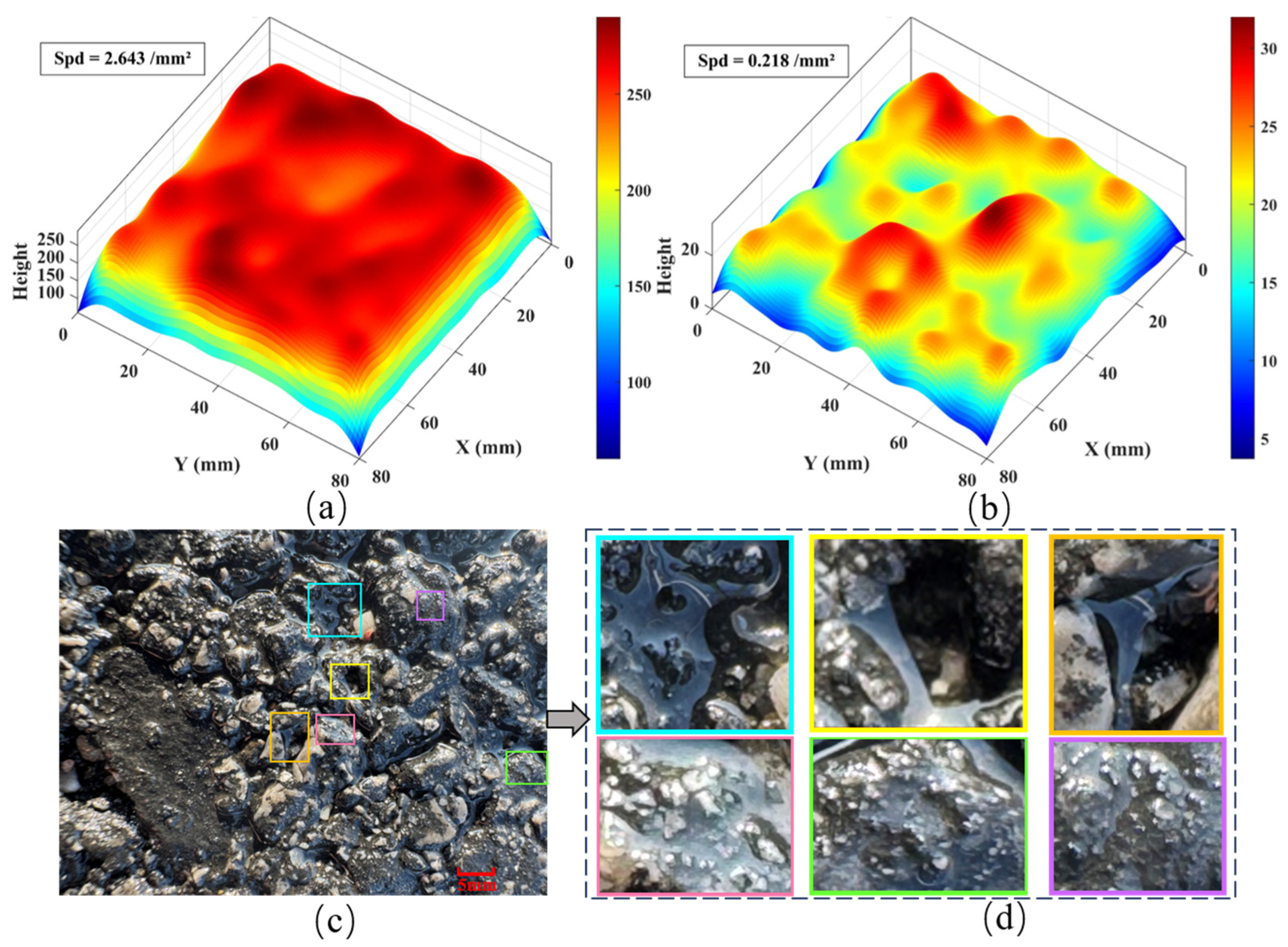 Lubricants 13 00138 g017