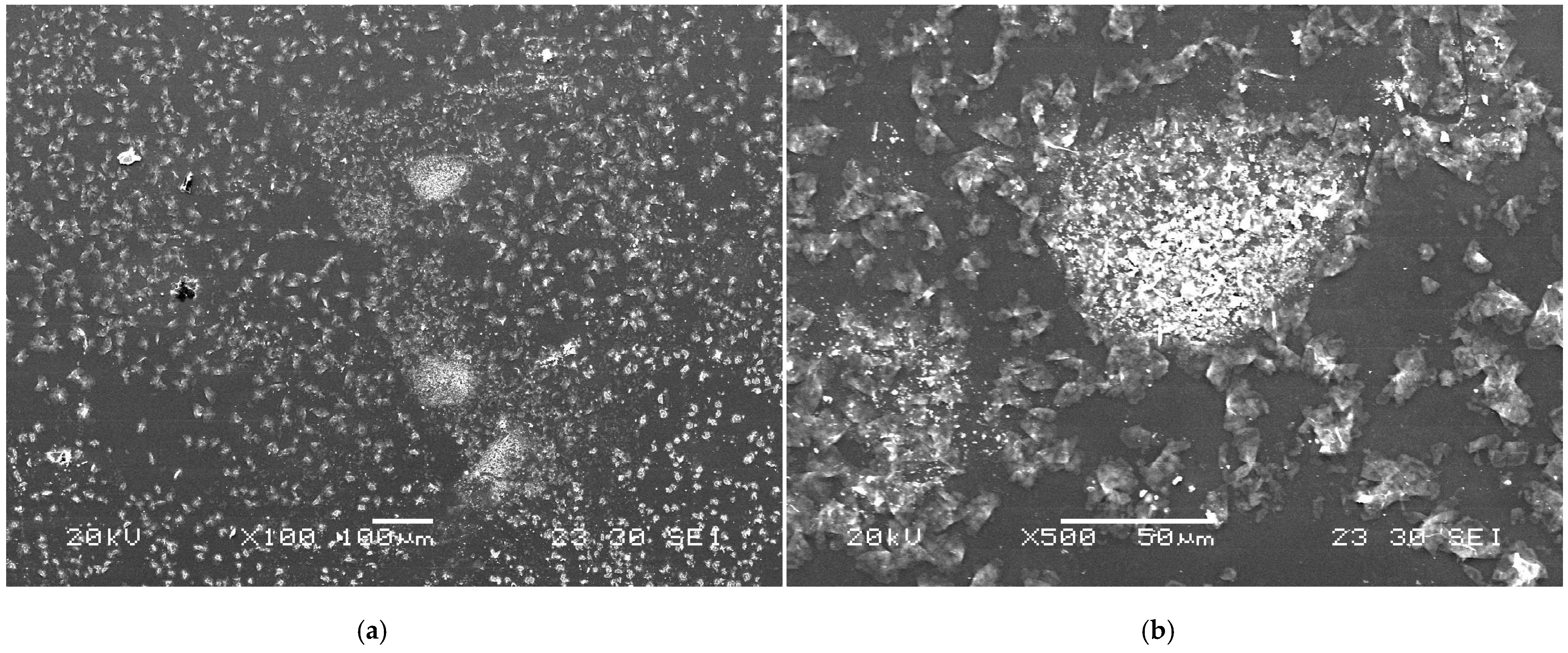Lubricants 13 00141 g001a