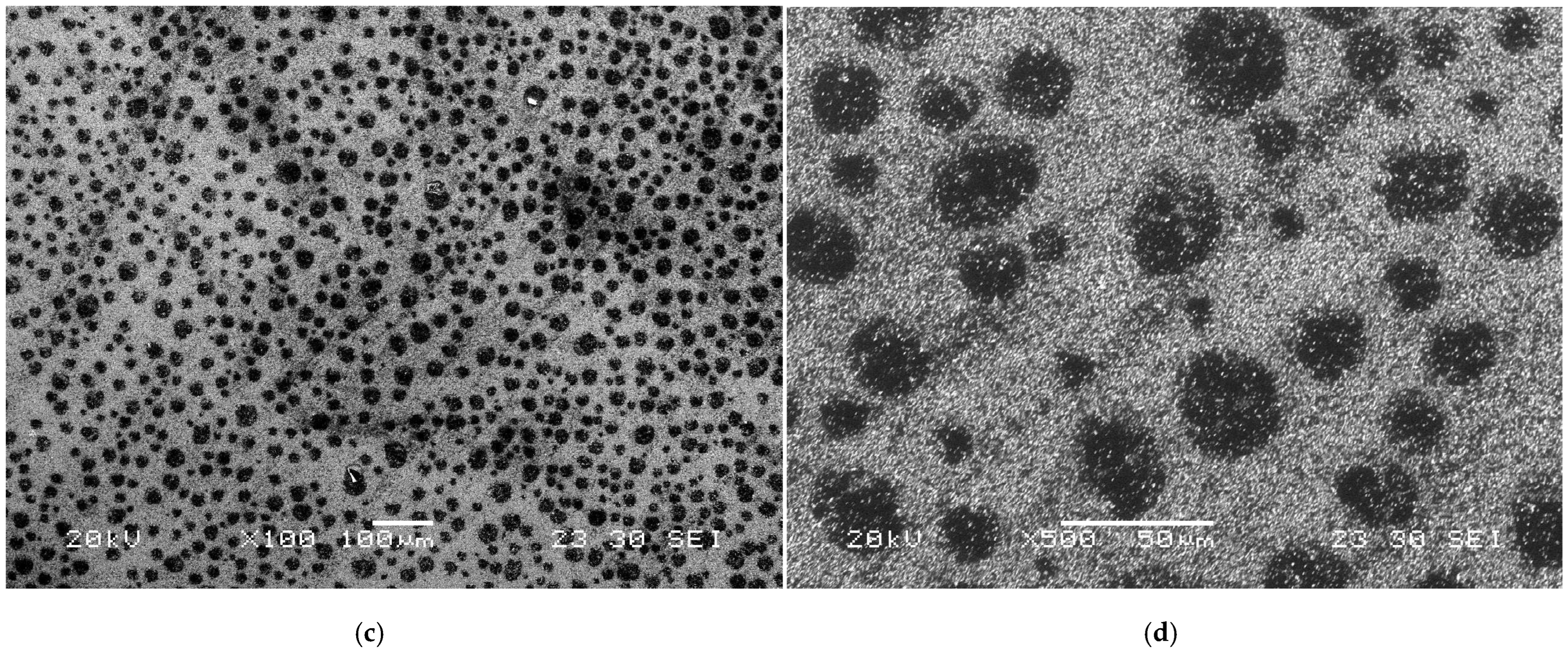 Lubricants 13 00141 g001b