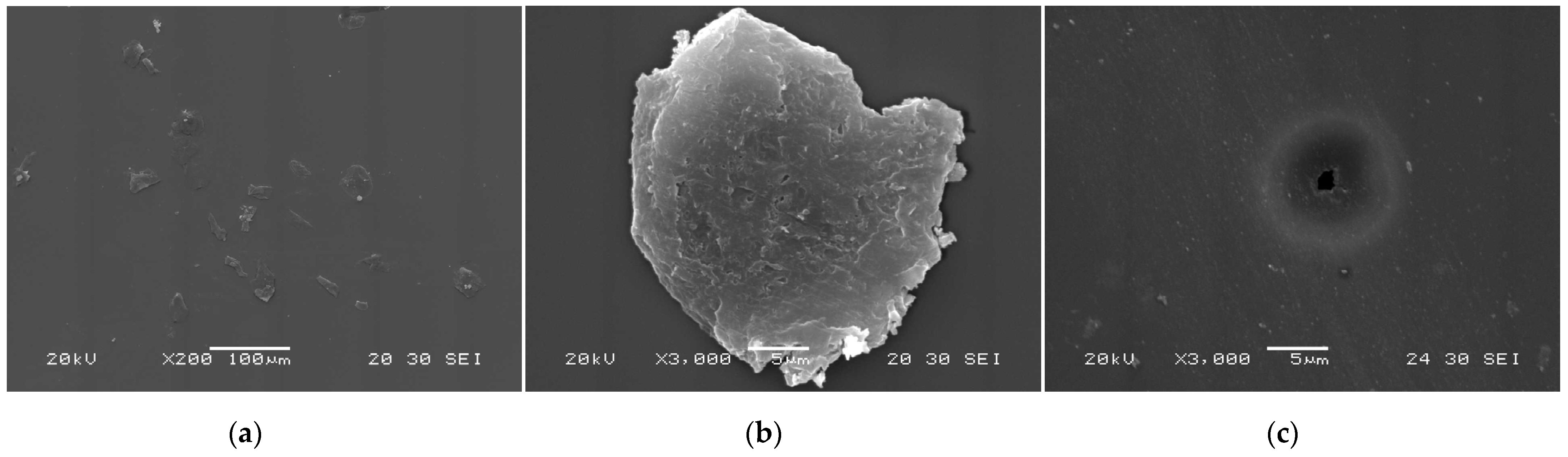 Lubricants 13 00141 g011