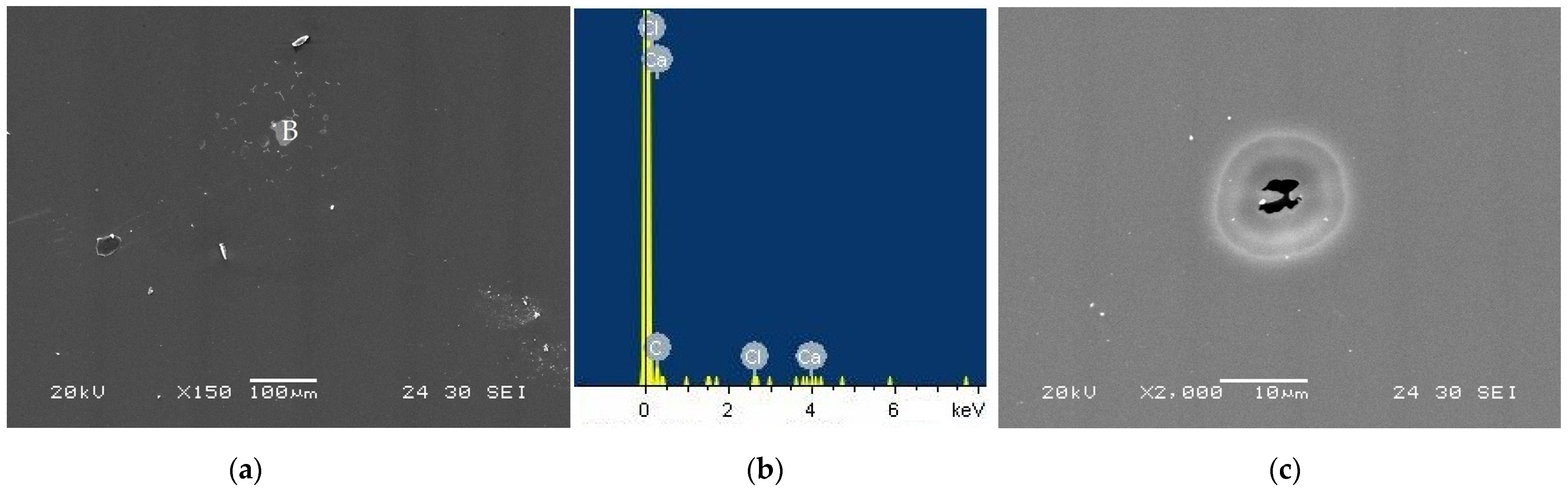 Lubricants 13 00141 g012