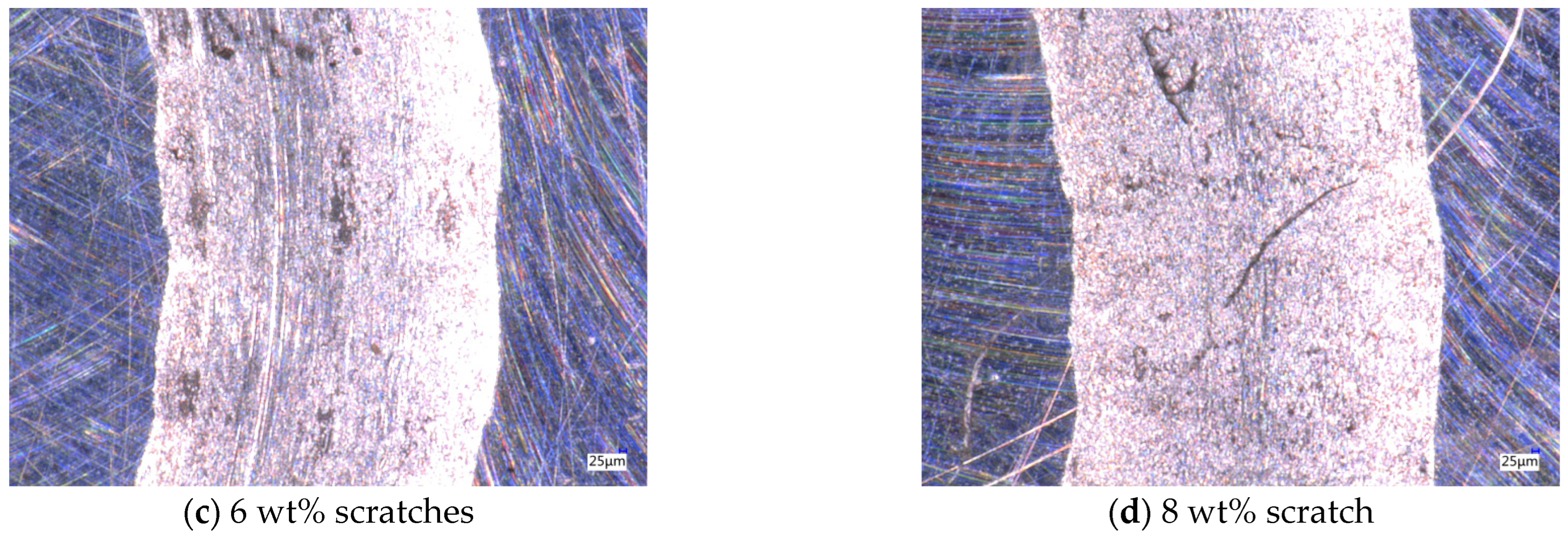 Lubricants 13 00152 g009b