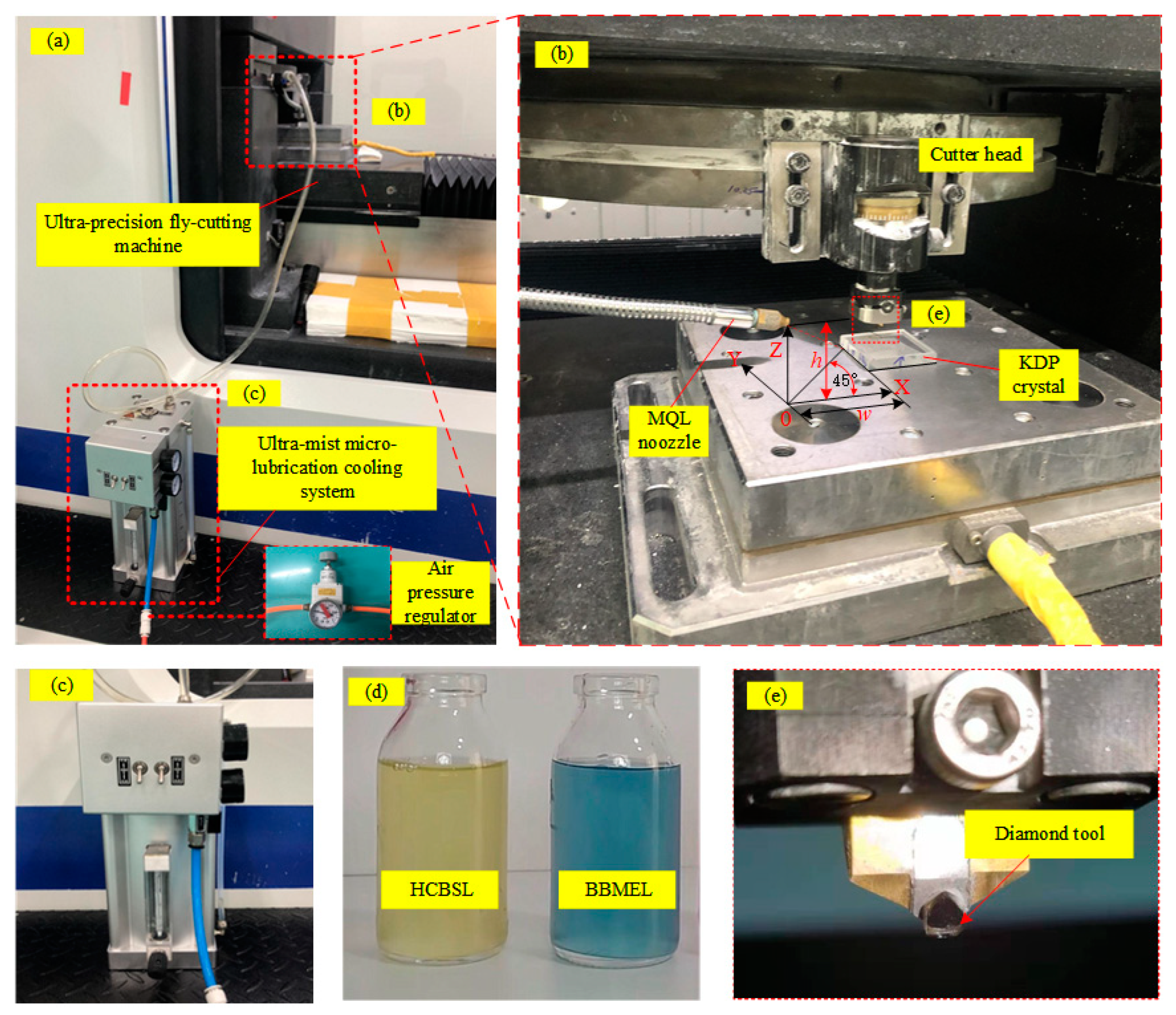 Lubricants 13 00156 g001