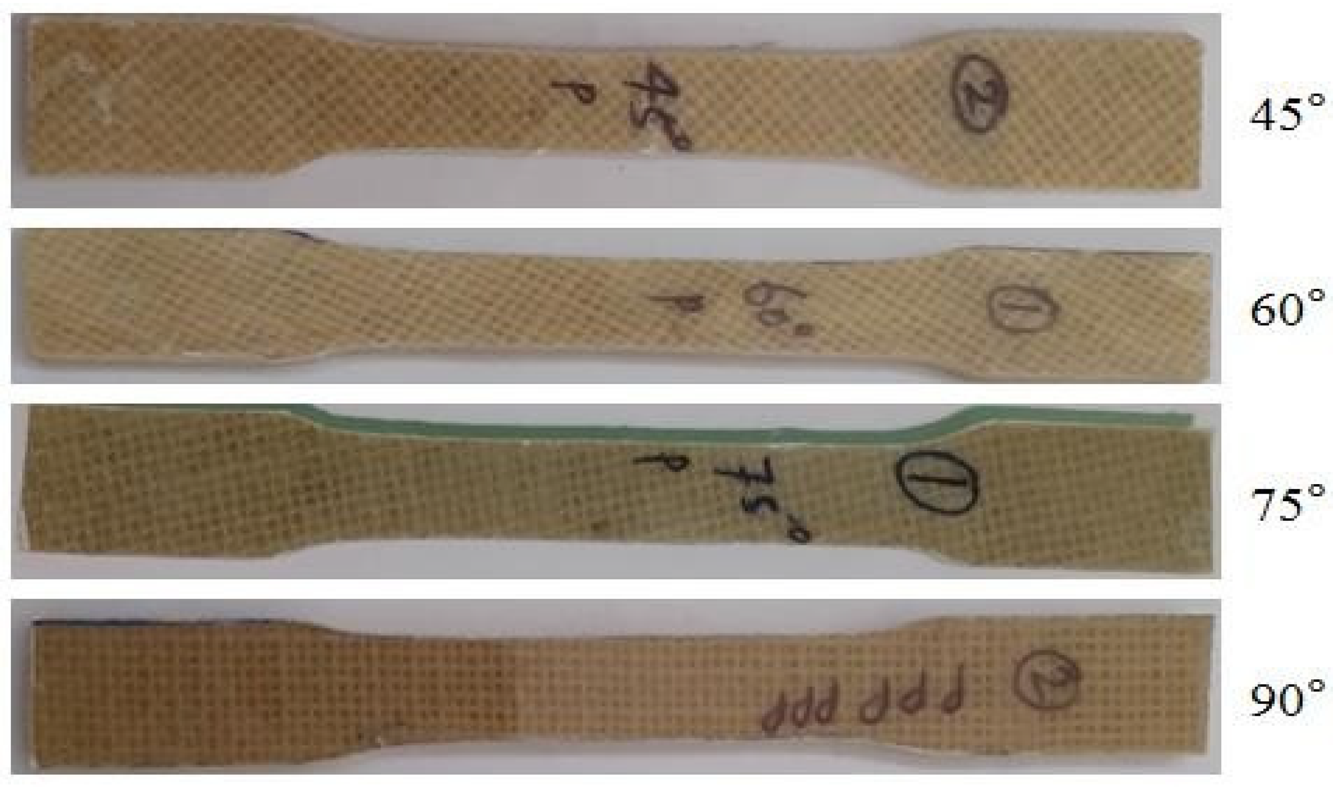 Lubricants 13 00161 g002