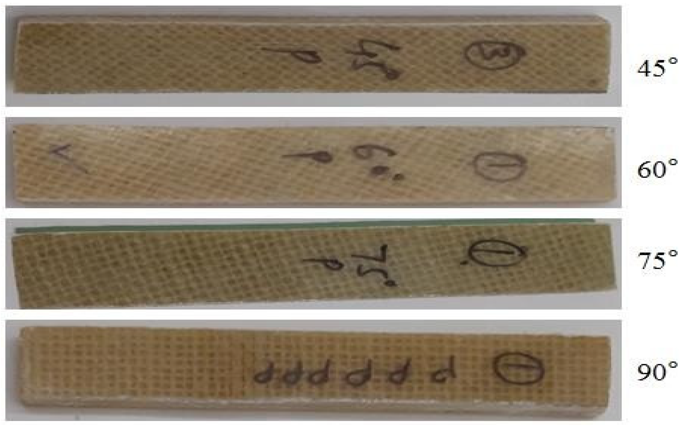 Lubricants 13 00161 g003