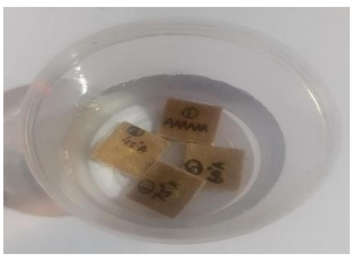 Lubricants 13 00161 g004