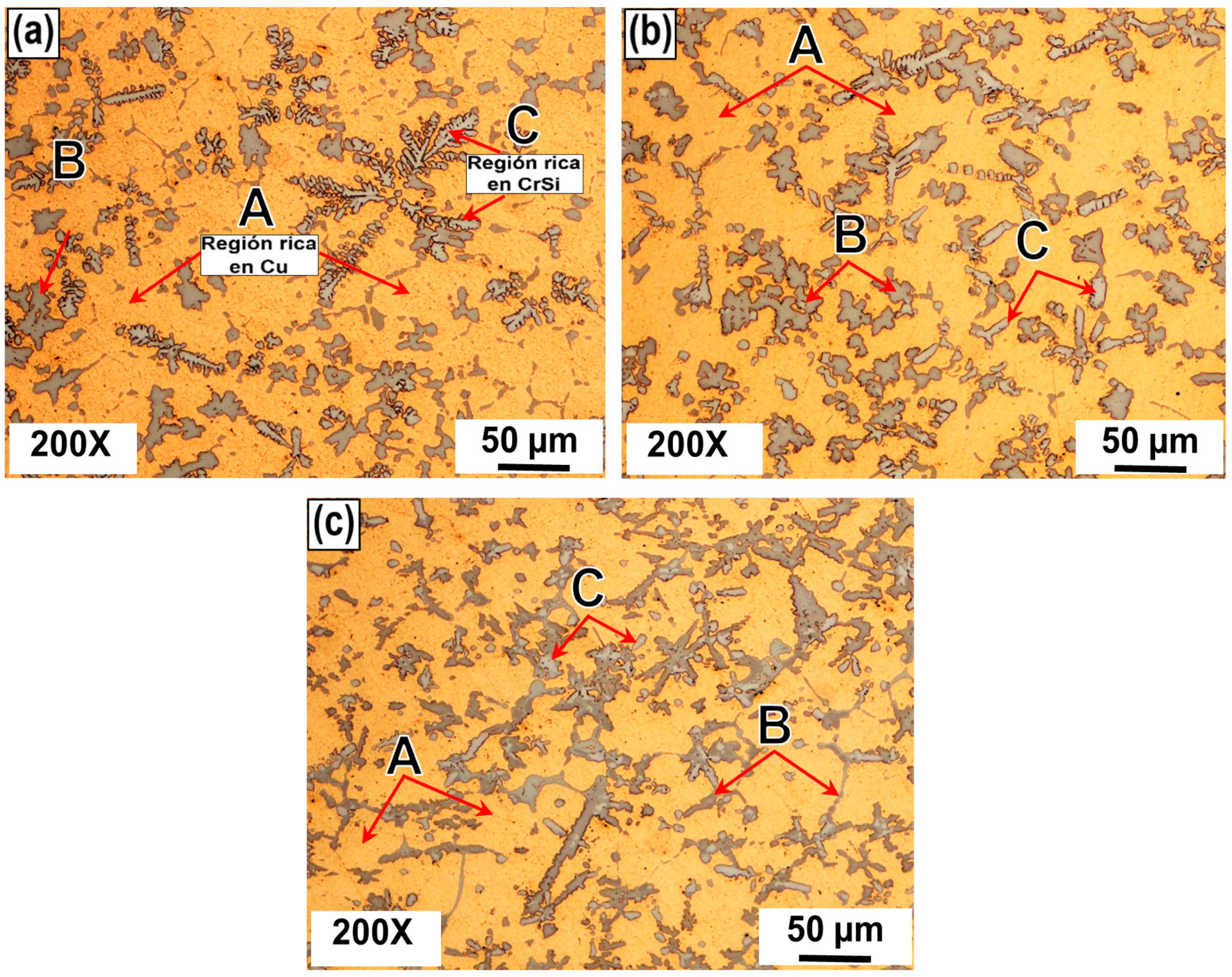 Lubricants 13 00164 g005