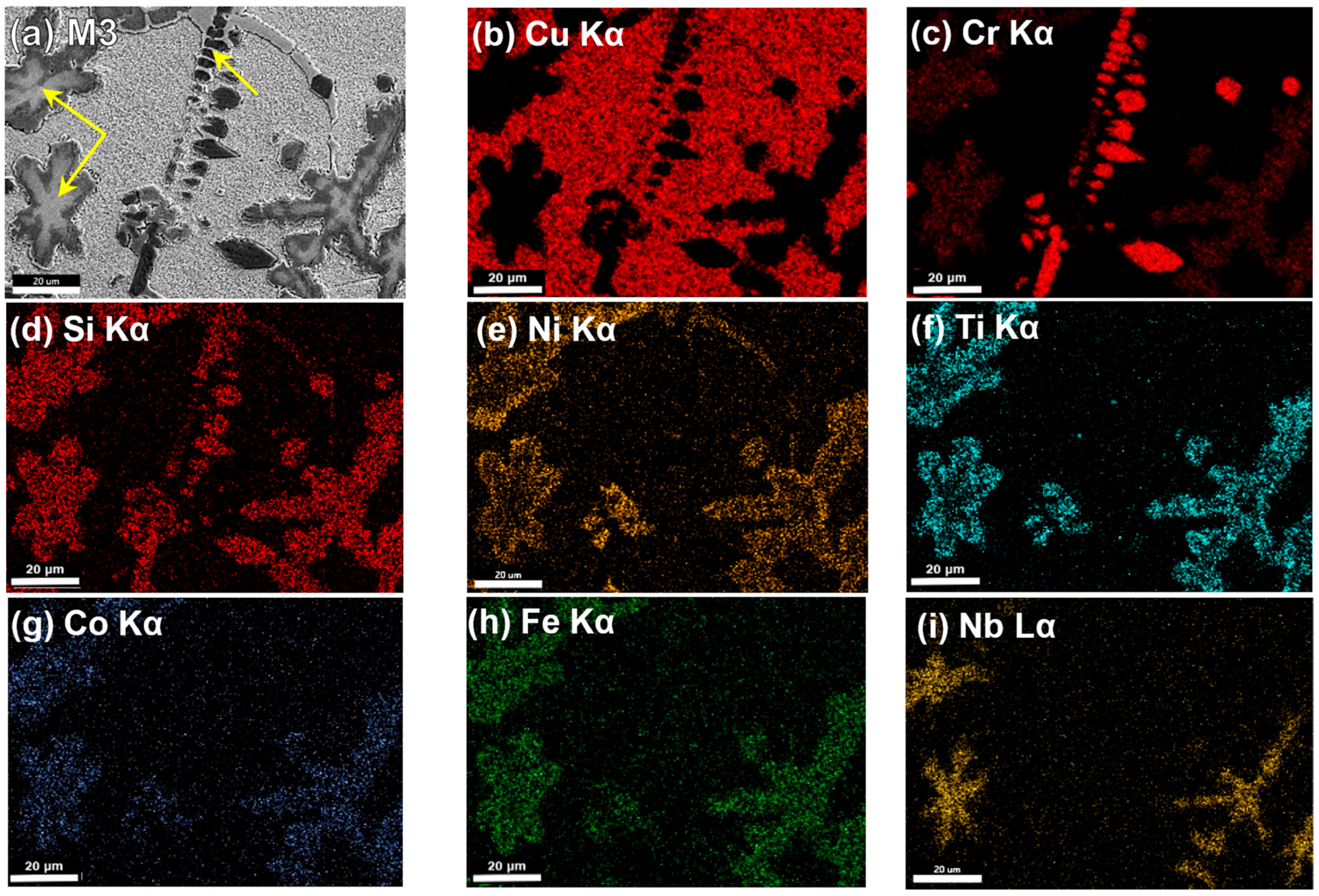 Lubricants 13 00164 g010