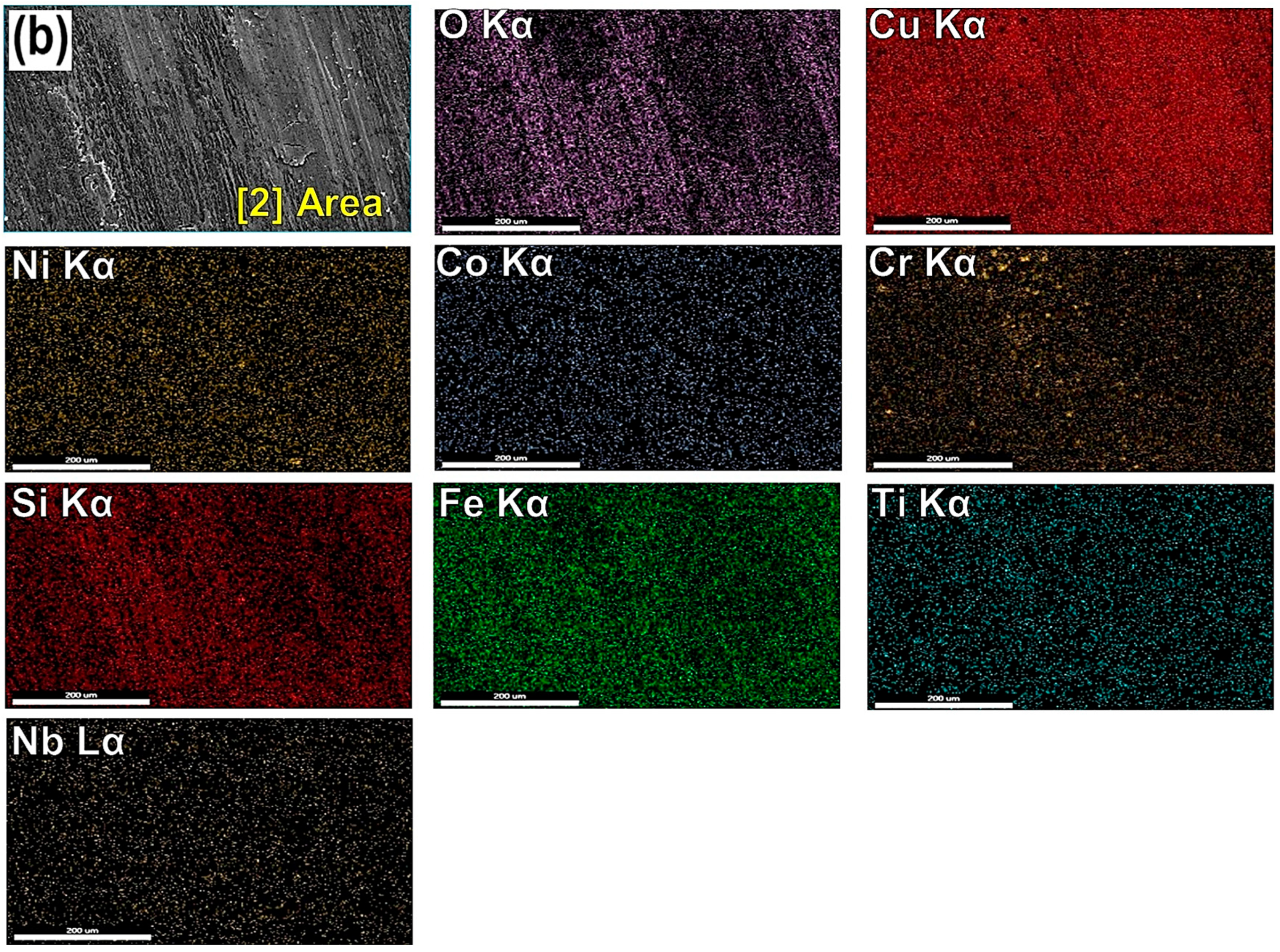 Lubricants 13 00164 g017b