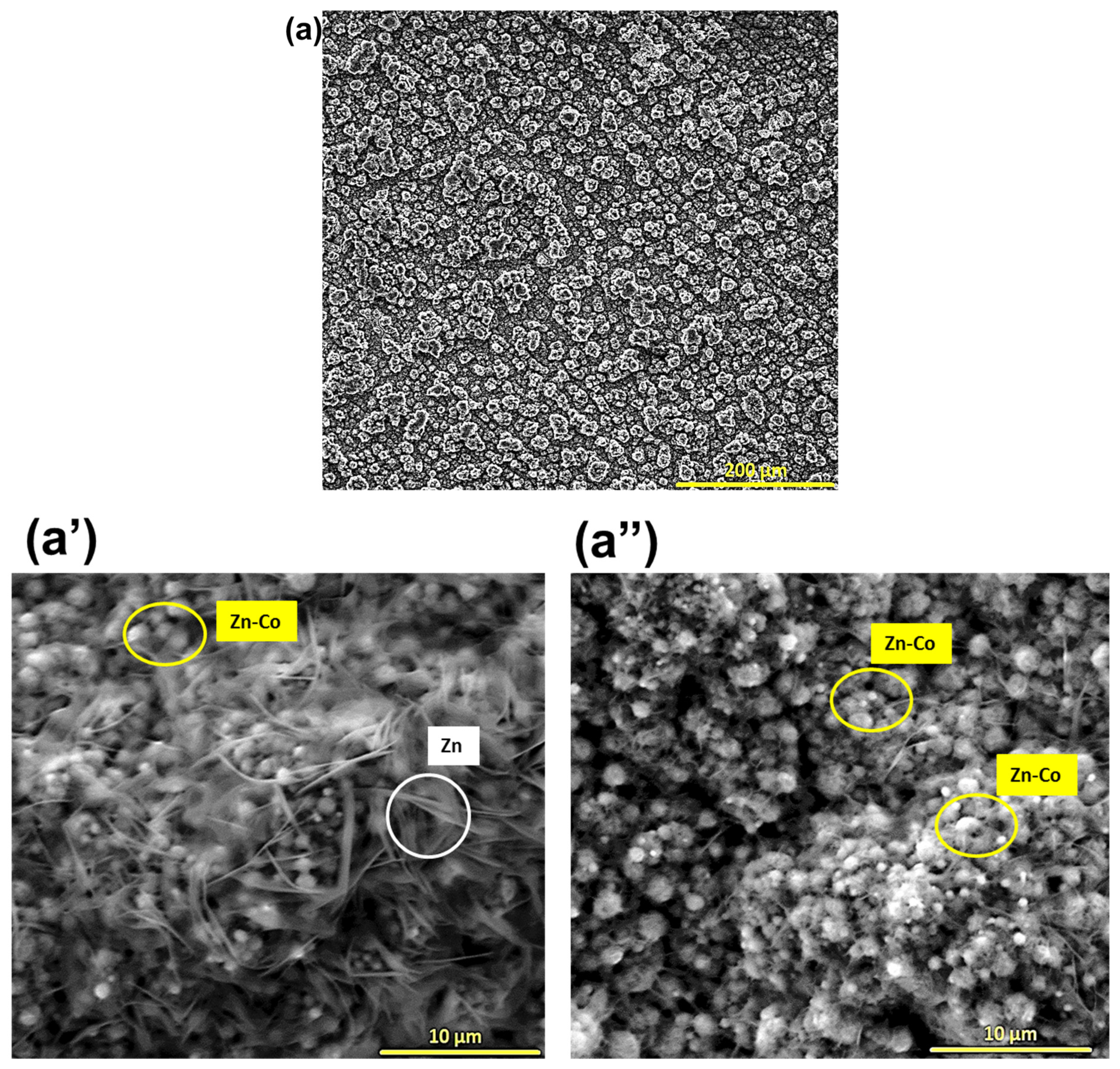 Lubricants 13 00167 g004a