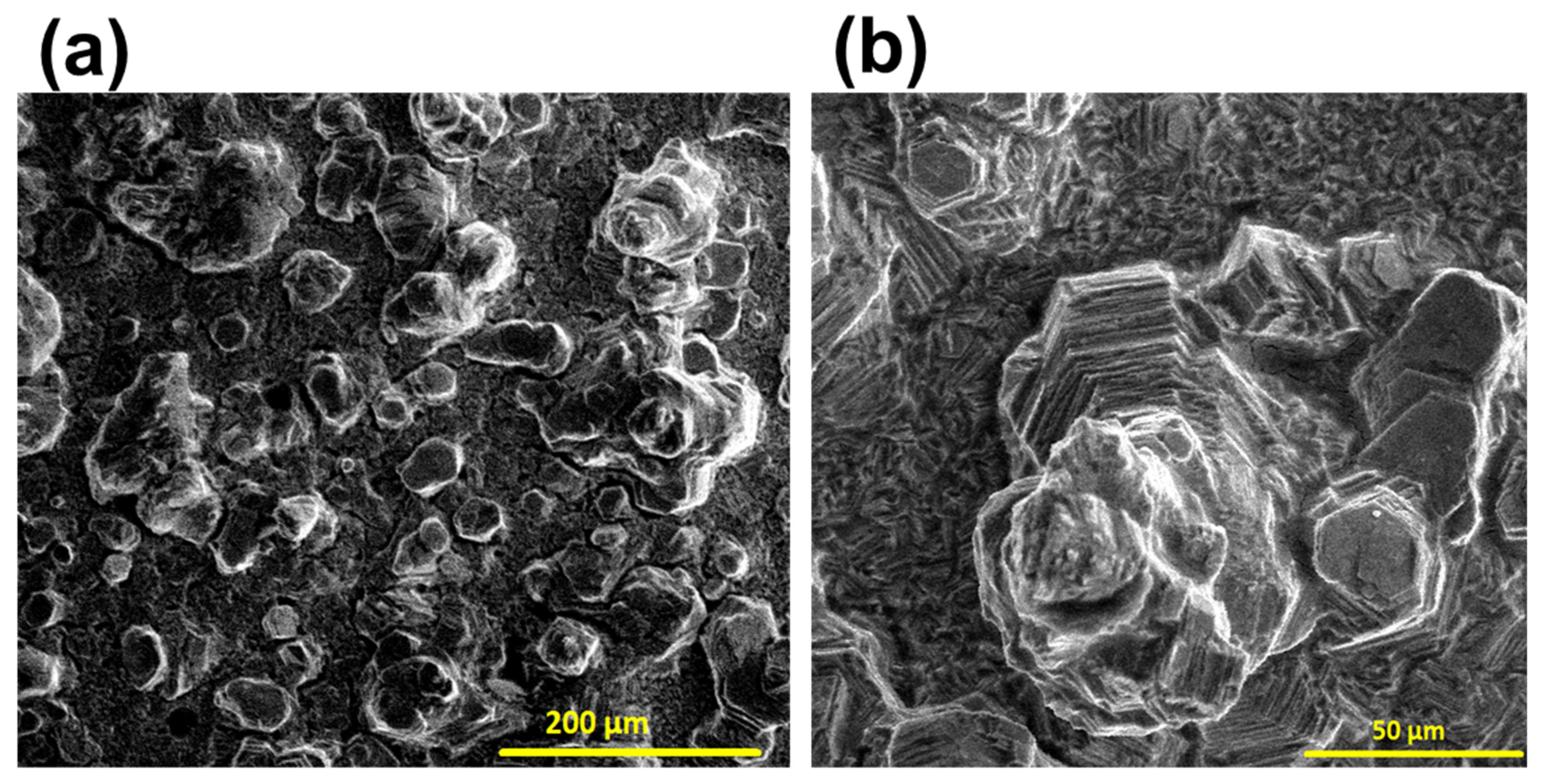 Lubricants 13 00167 g008