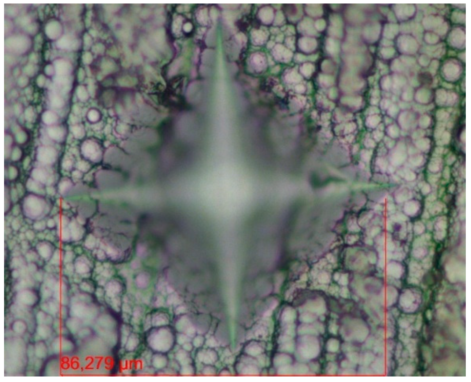 Lubricants 13 00168 g008