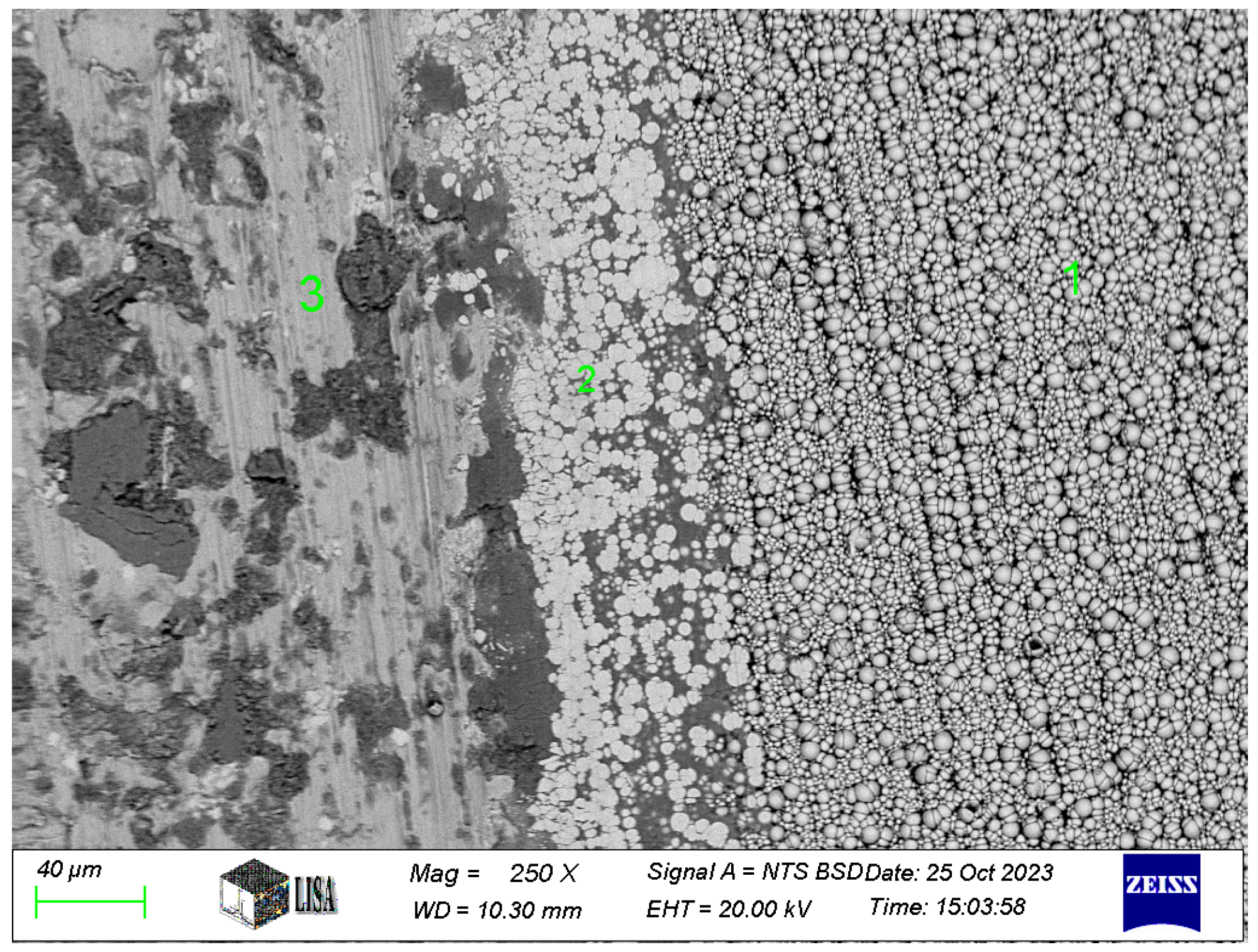 Lubricants 13 00168 g013