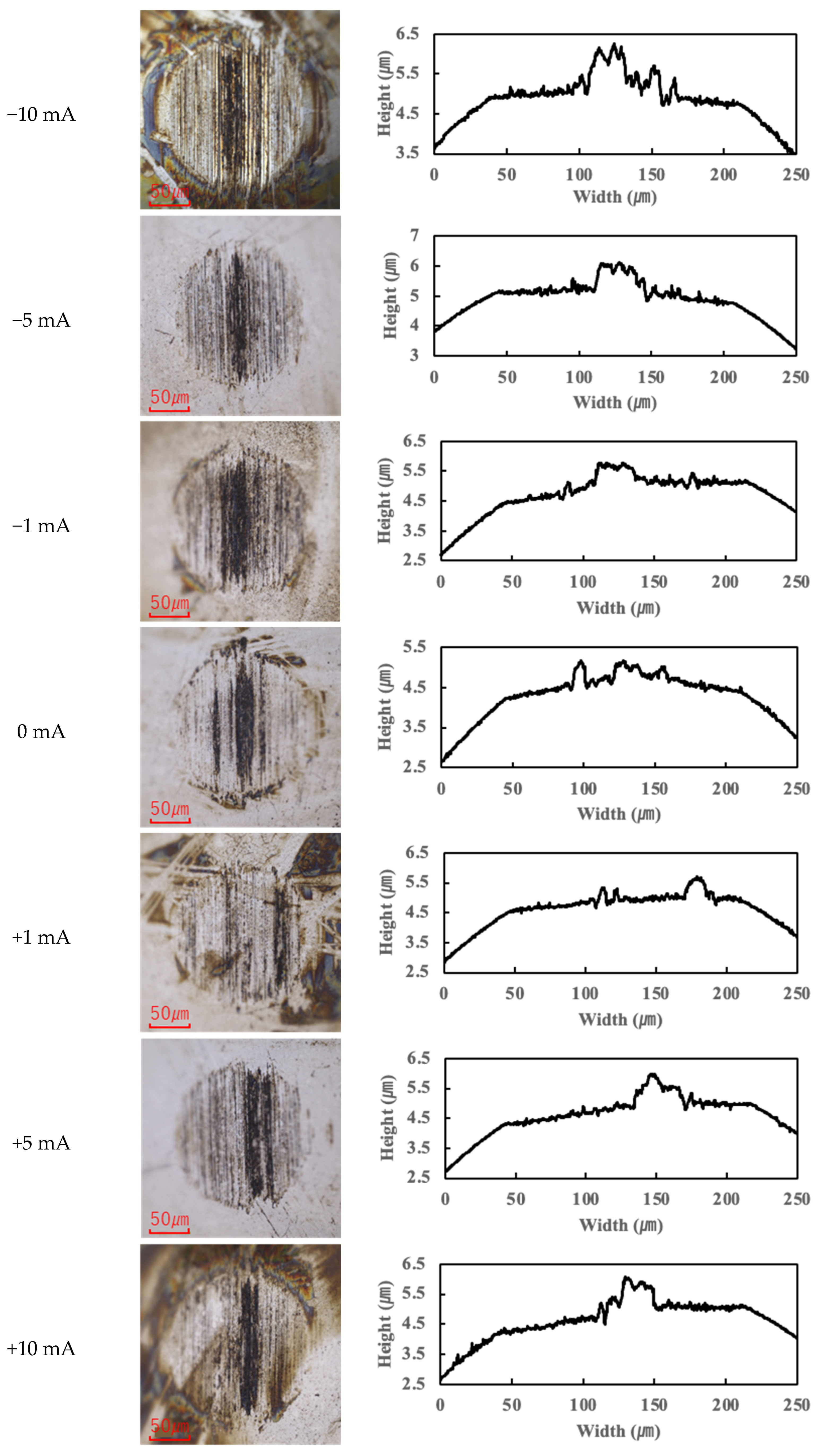 Lubricants 13 00173 g004b