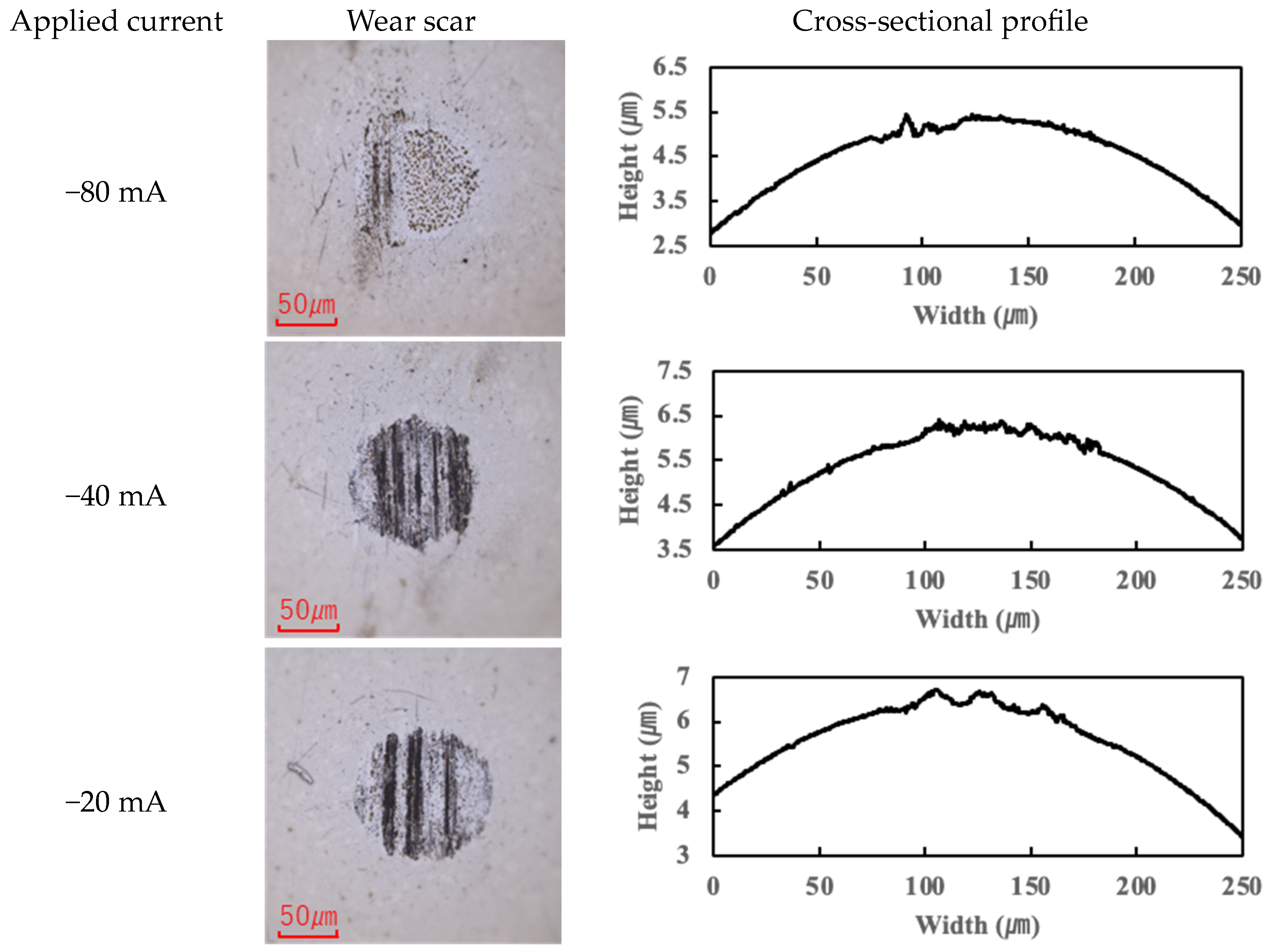 Lubricants 13 00173 g006a