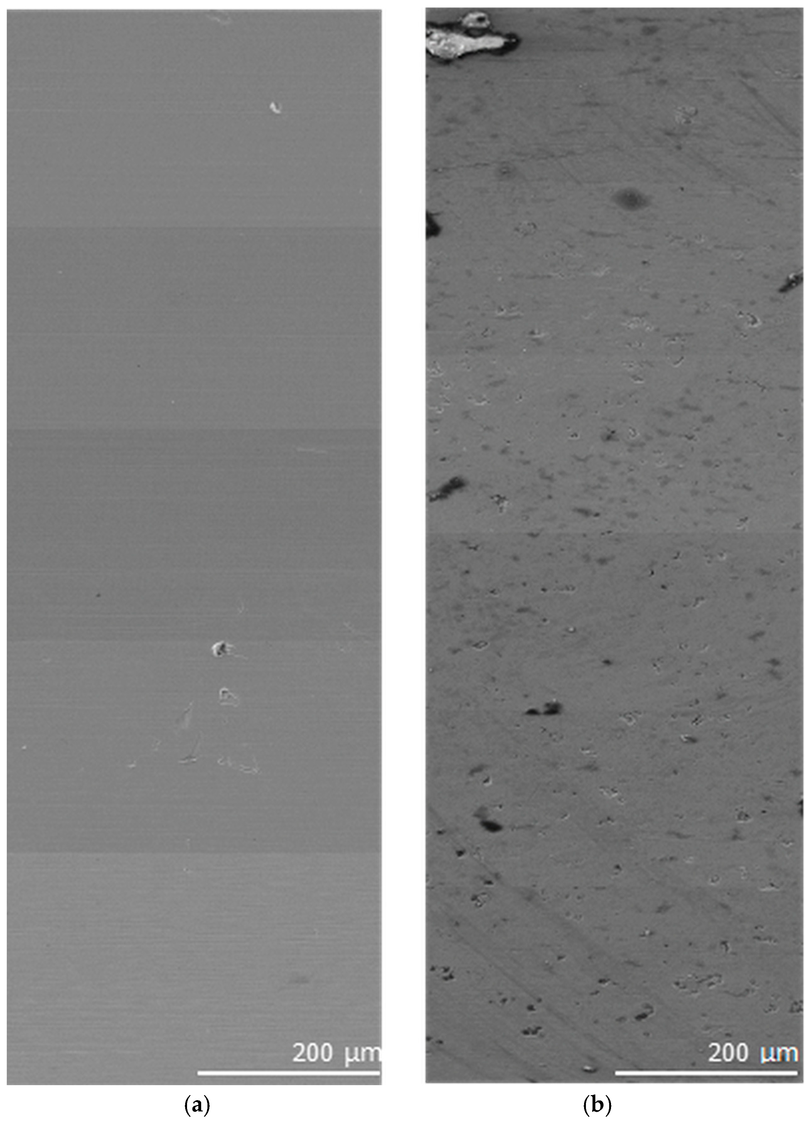 Lubricants 13 00175 g006