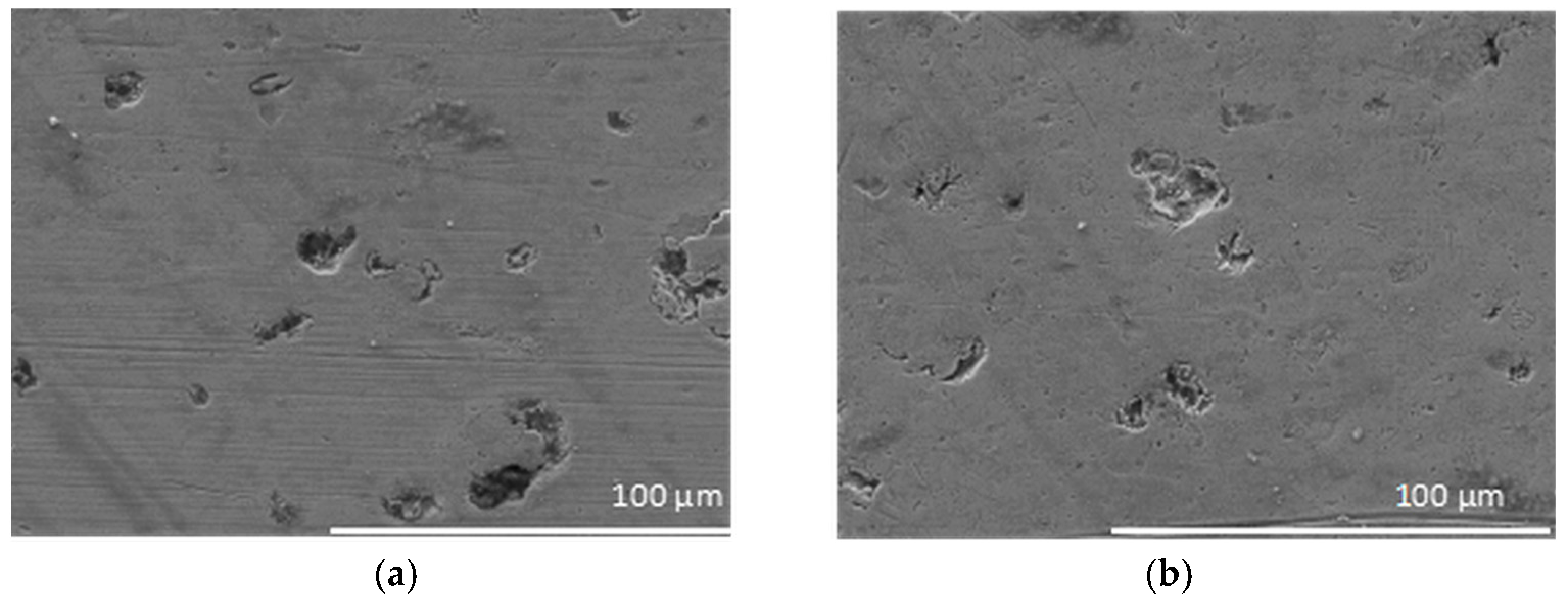 Lubricants 13 00175 g007