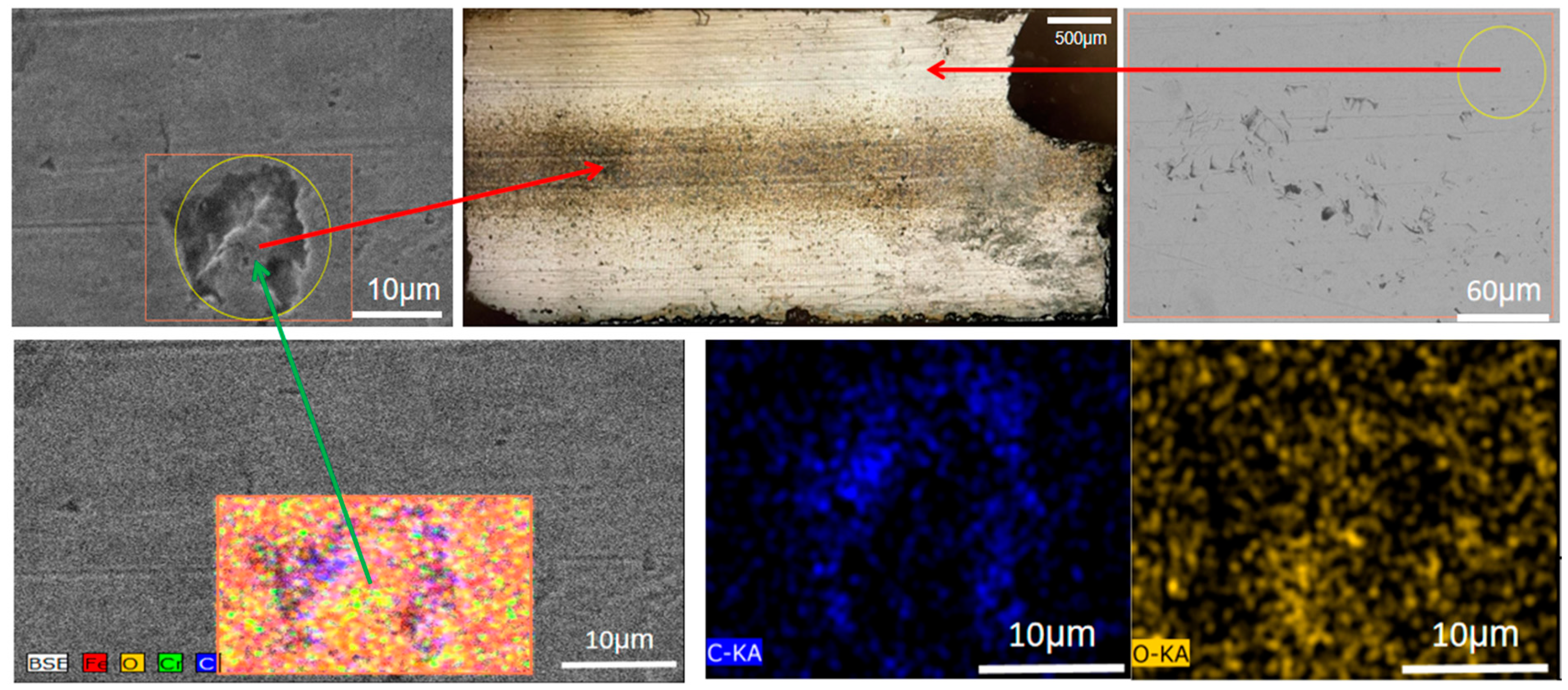 Lubricants 13 00175 g008