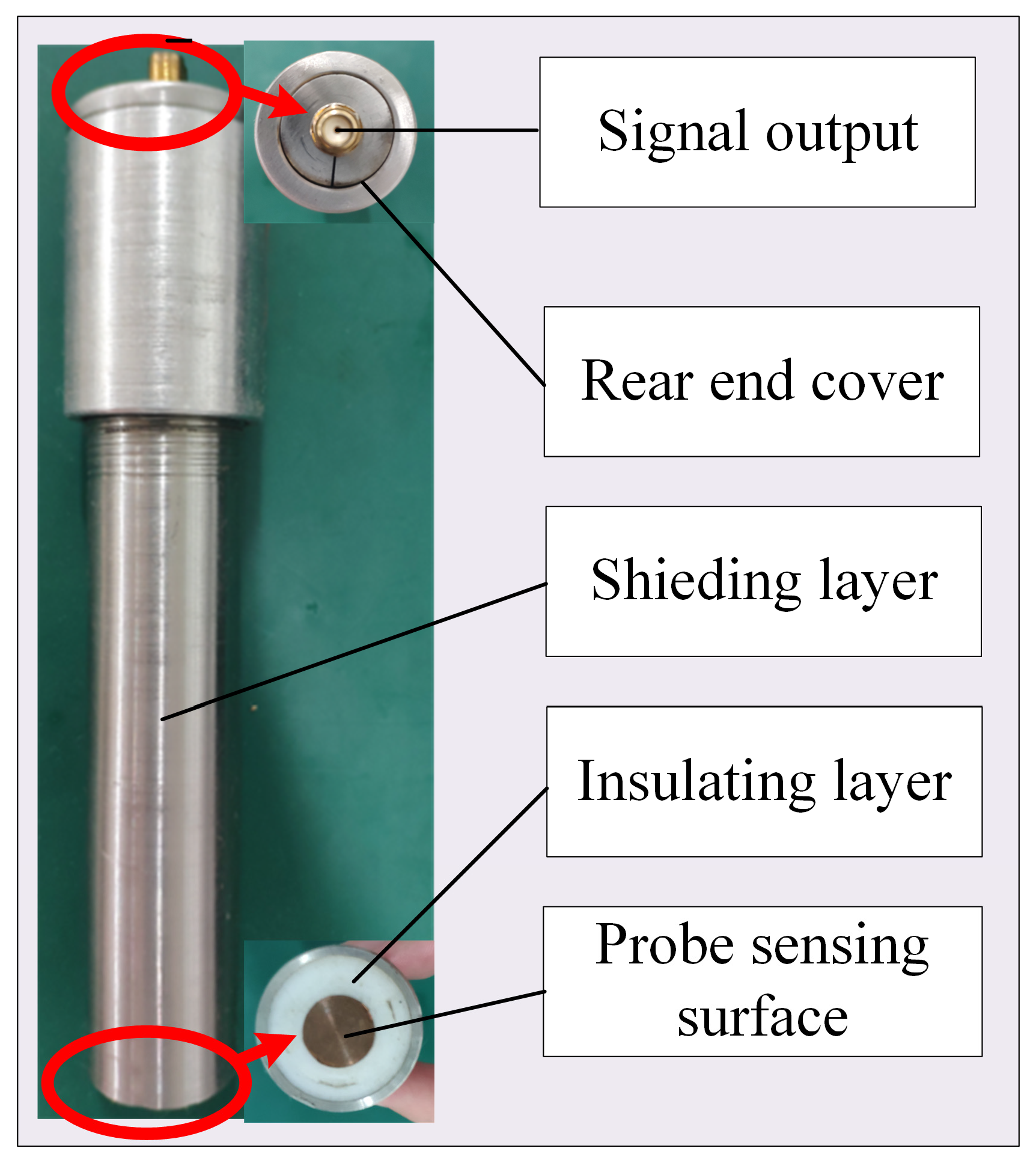 Lubricants 13 00178 g005