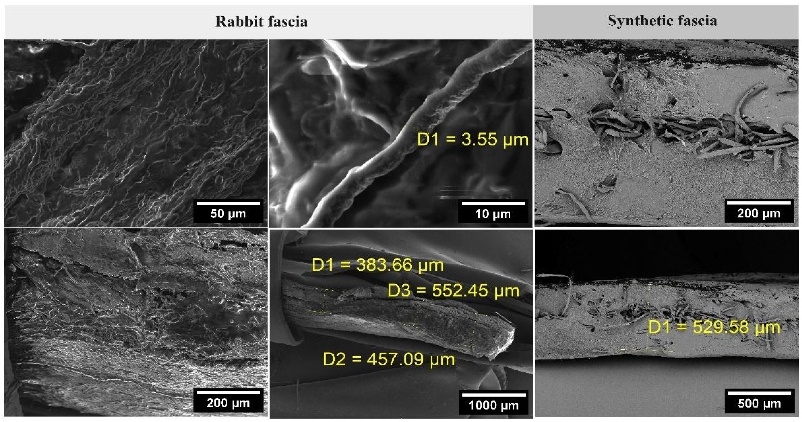 Lubricants 13 00184 g006