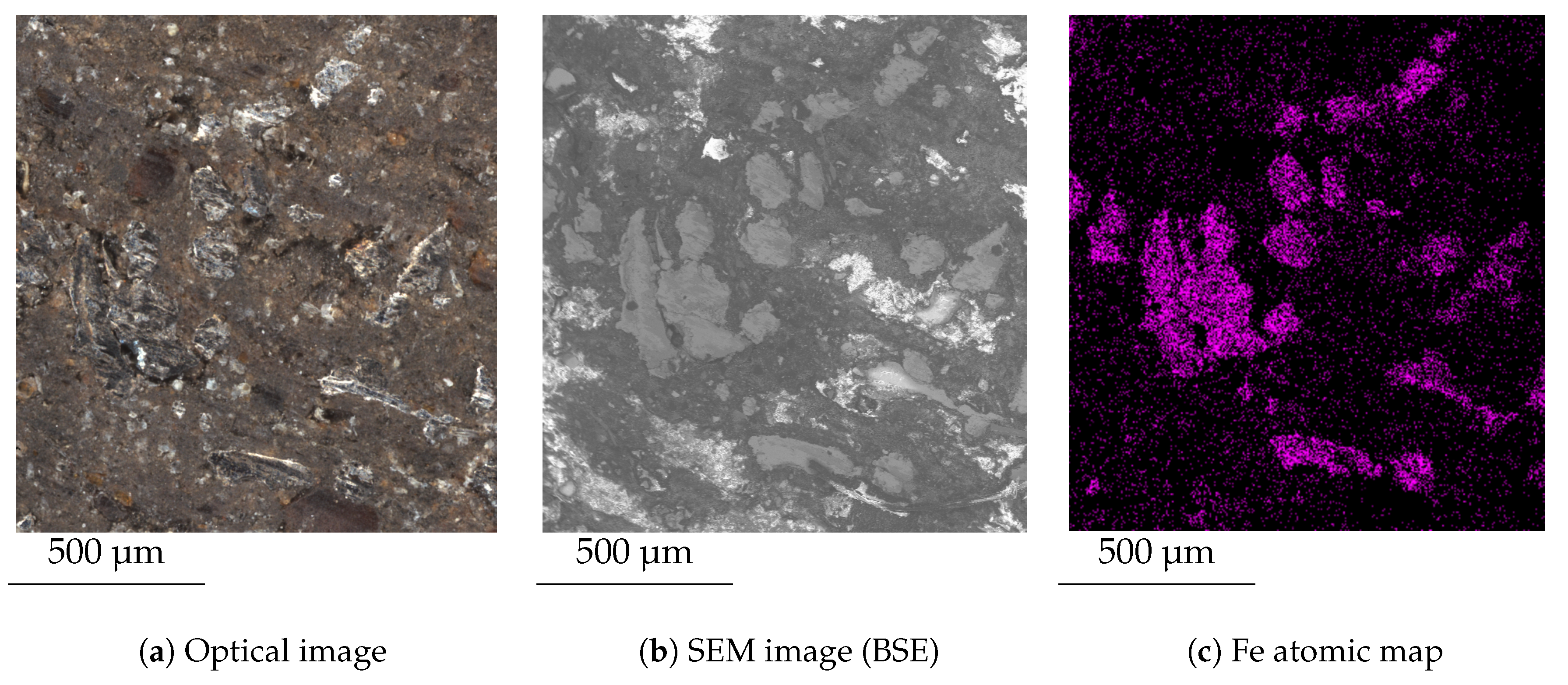 Lubricants 13 00186 g001