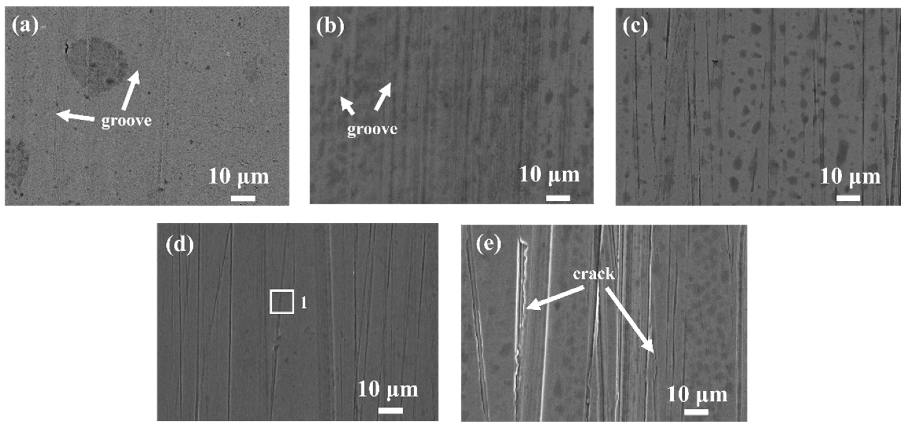 Lubricants 13 00187 g011