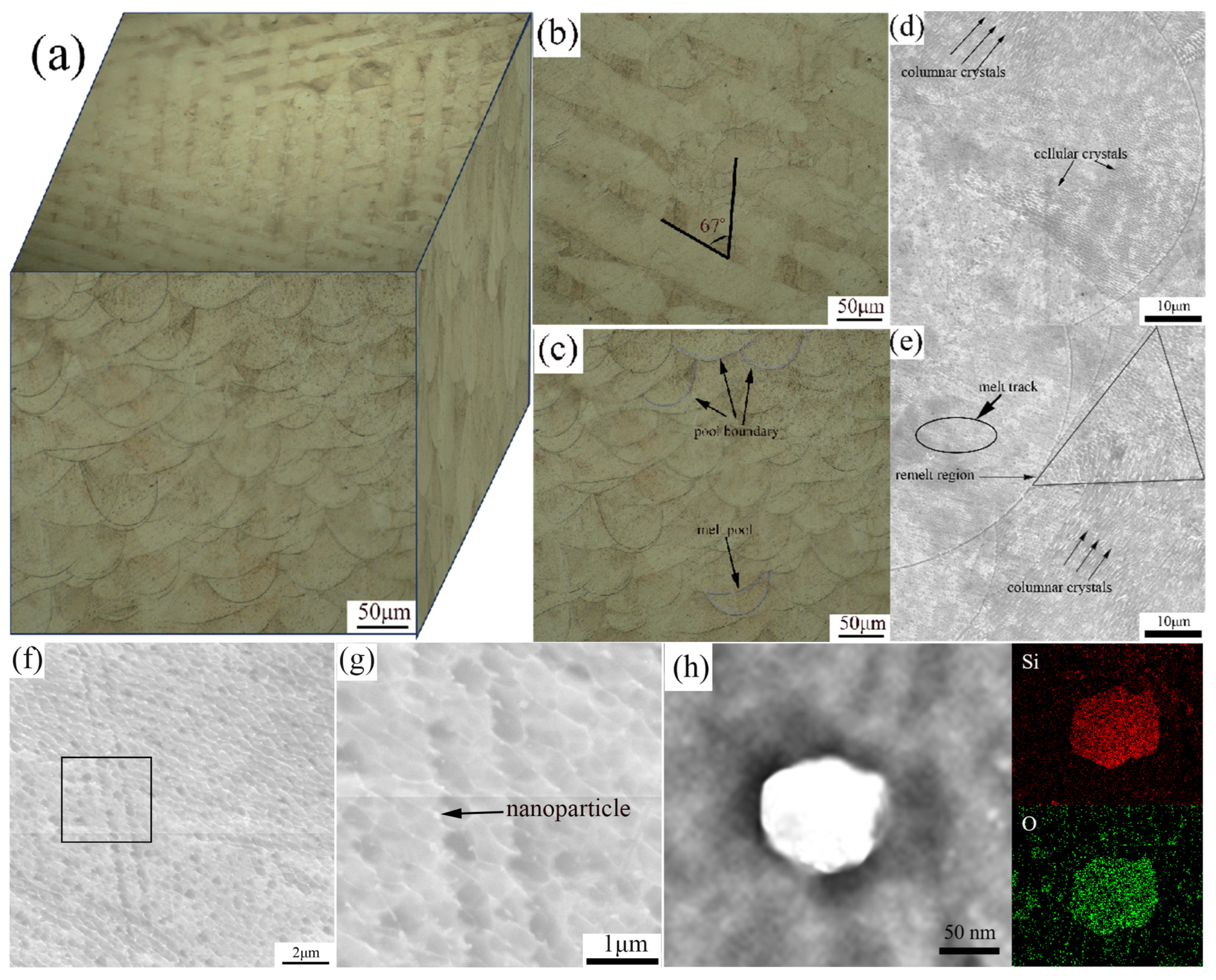 Lubricants 13 00189 g002