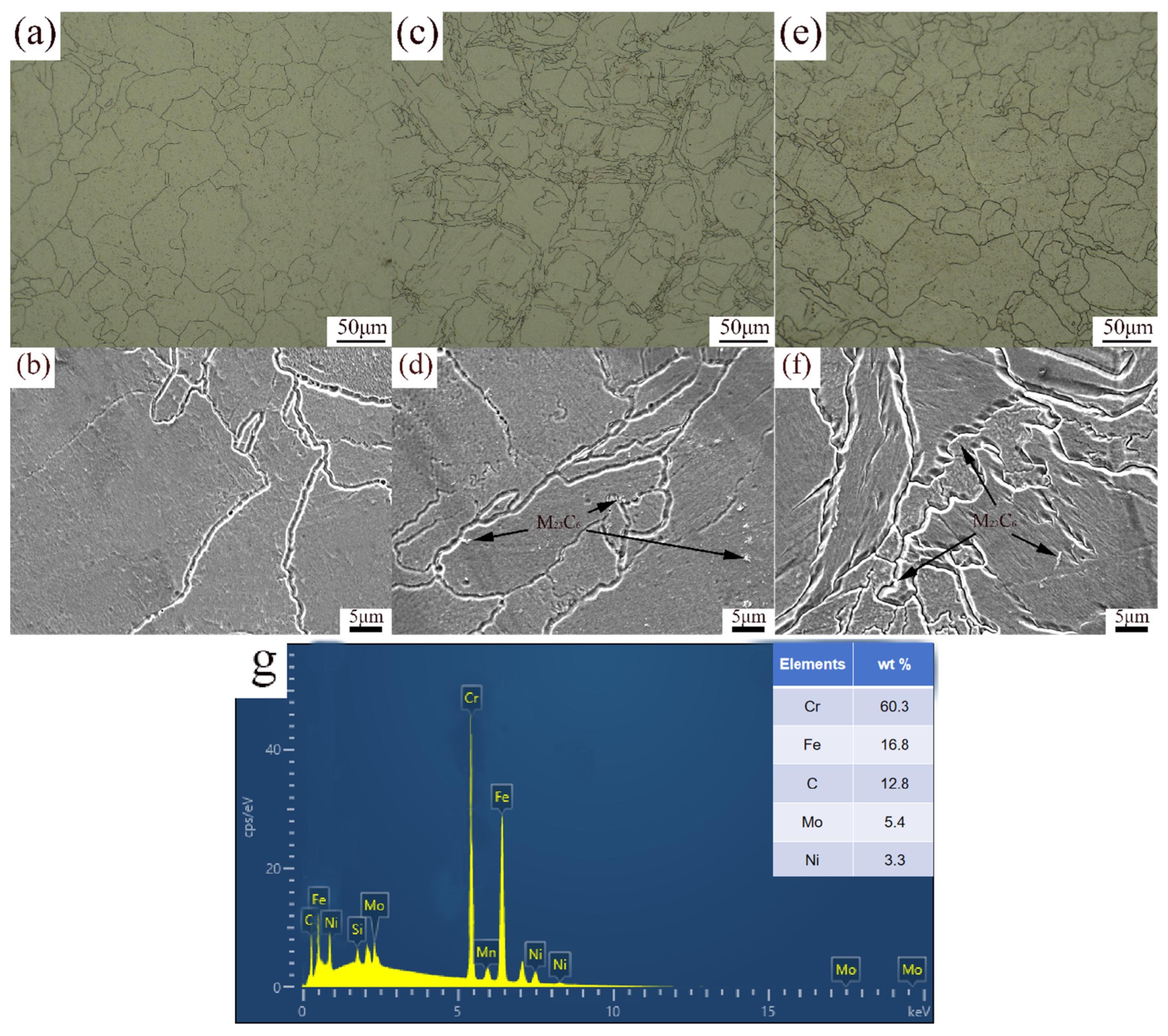 Lubricants 13 00189 g003