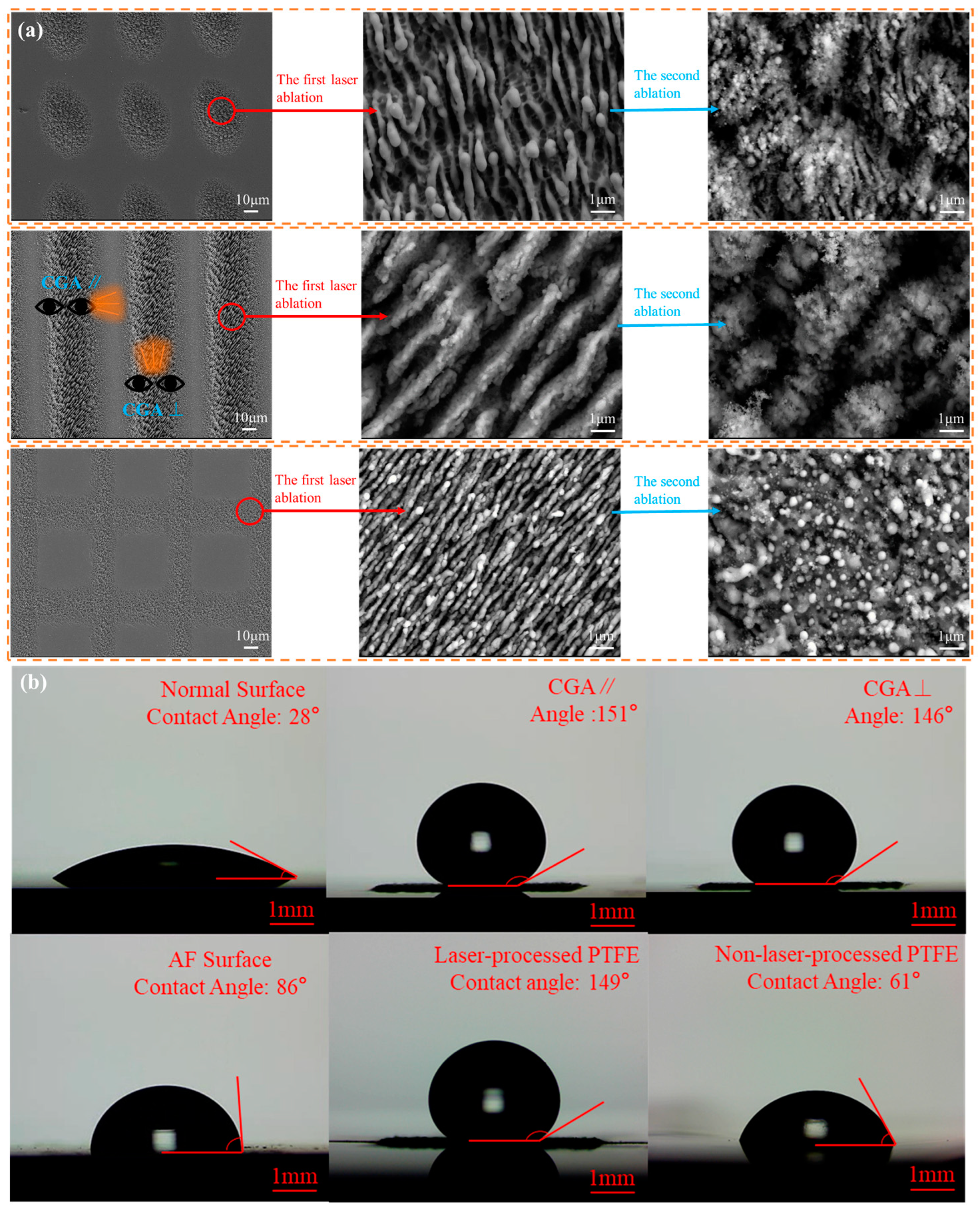 Lubricants 13 00193 g002