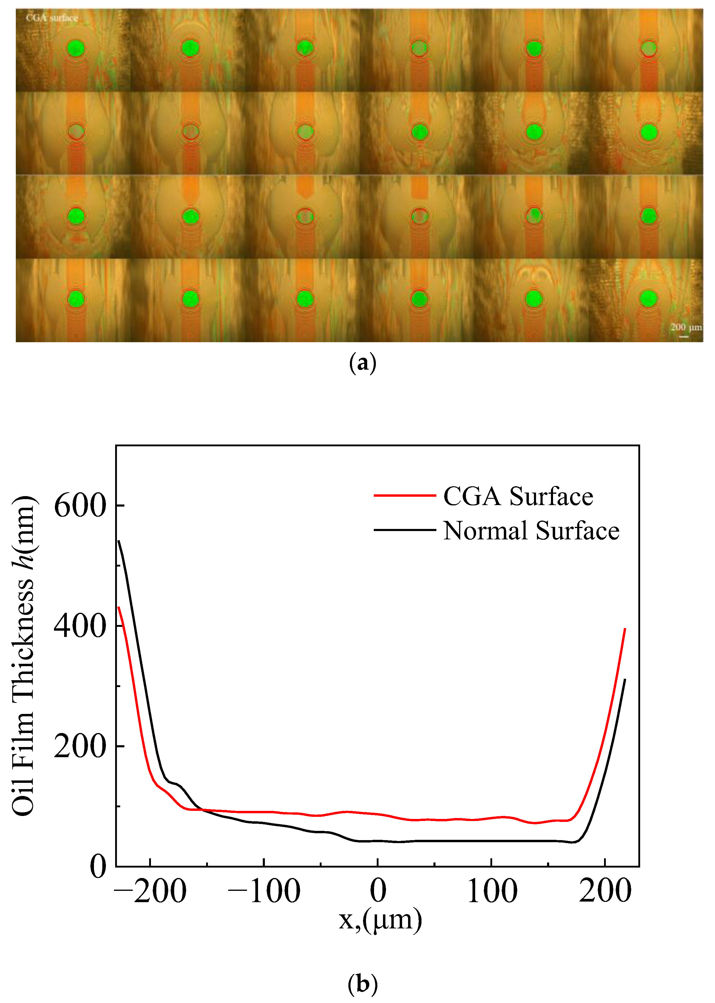 Lubricants 13 00193 g009