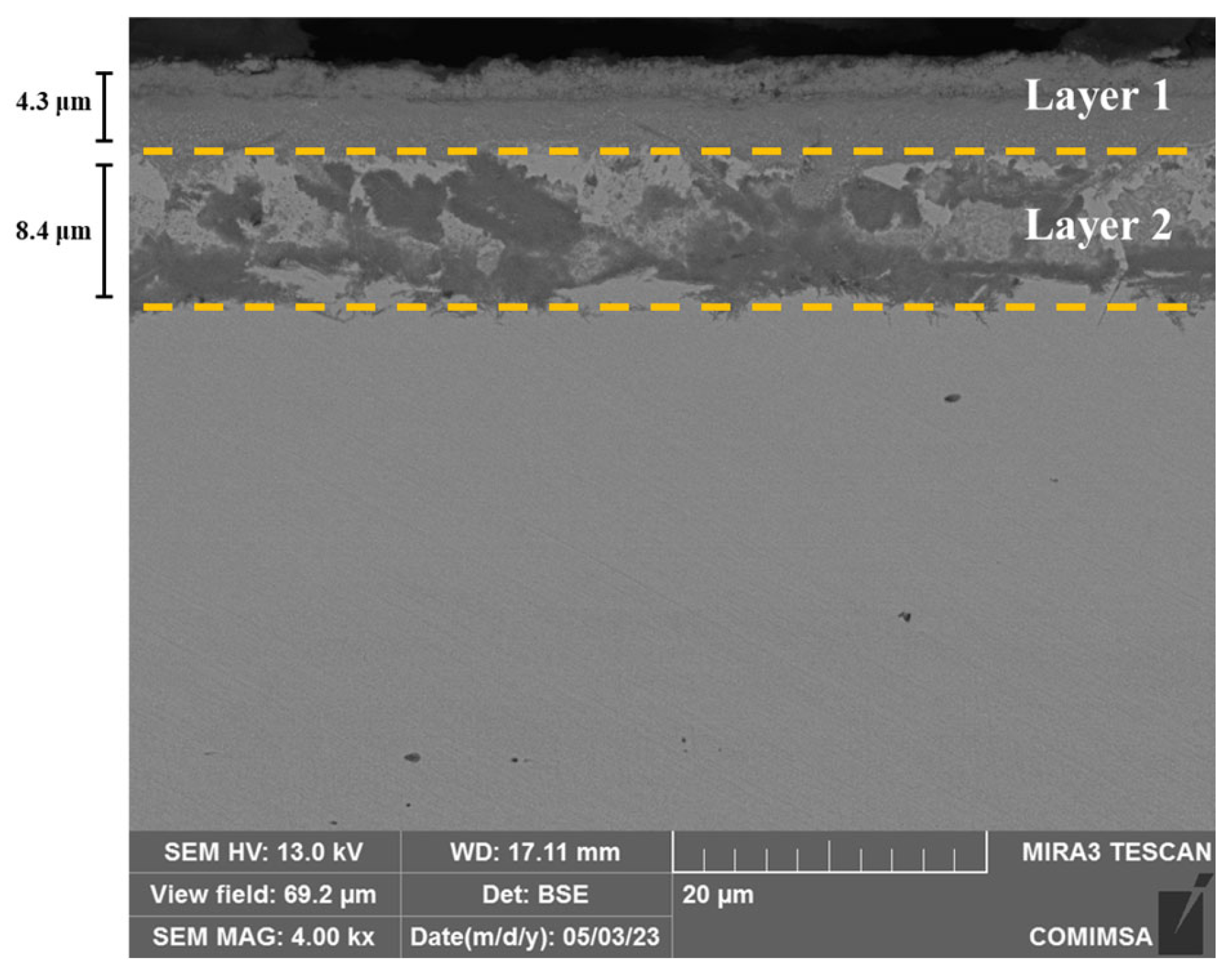 Lubricants 13 00195 g003